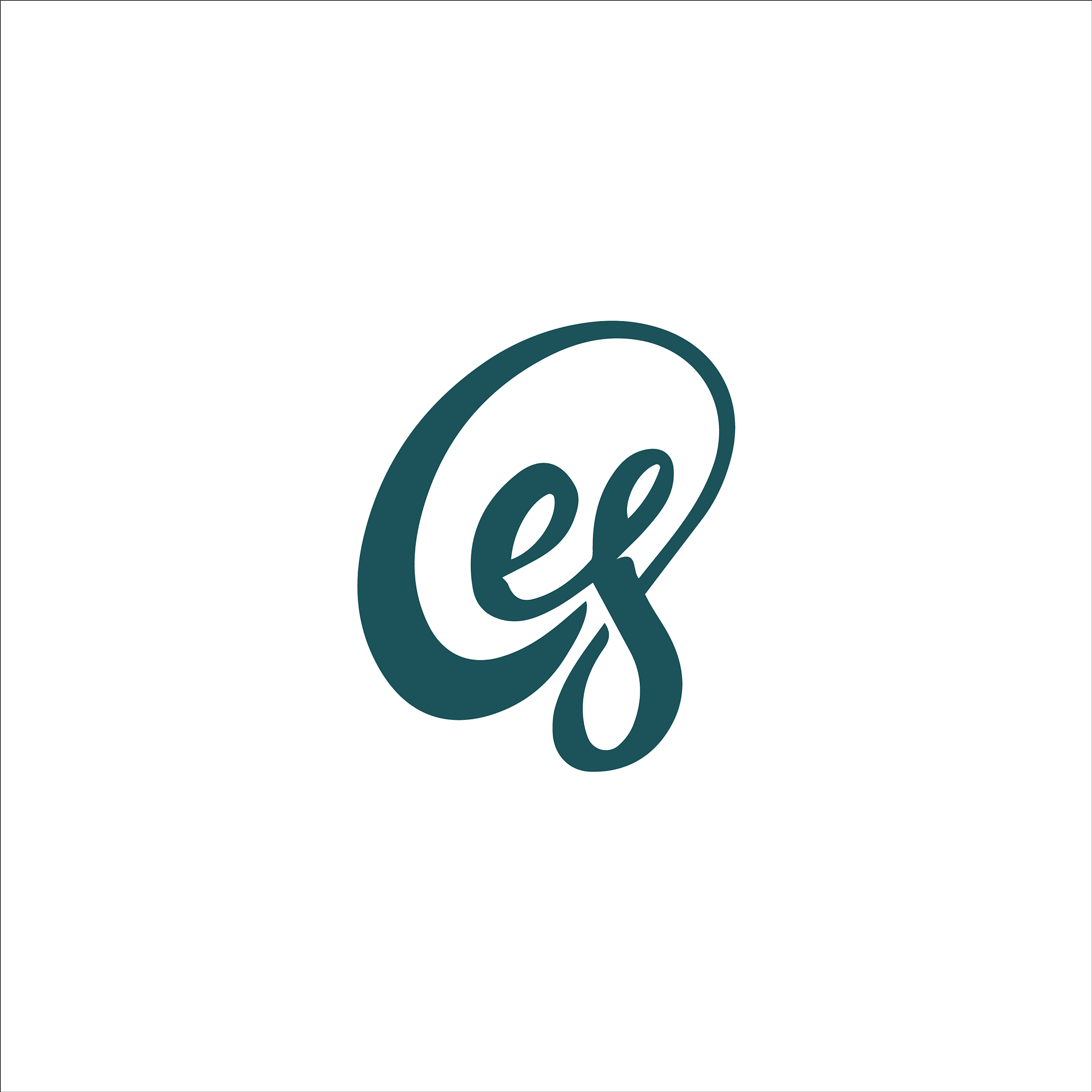 initial letter es or se logo design template