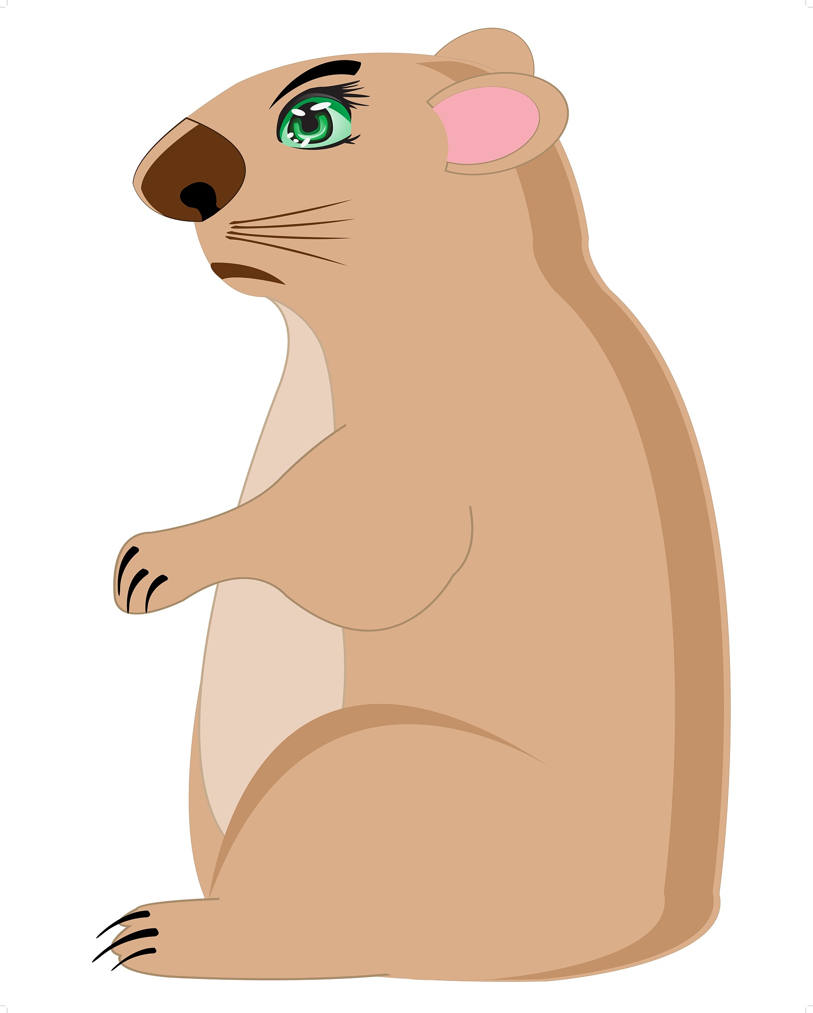 动物为什么要睡觉