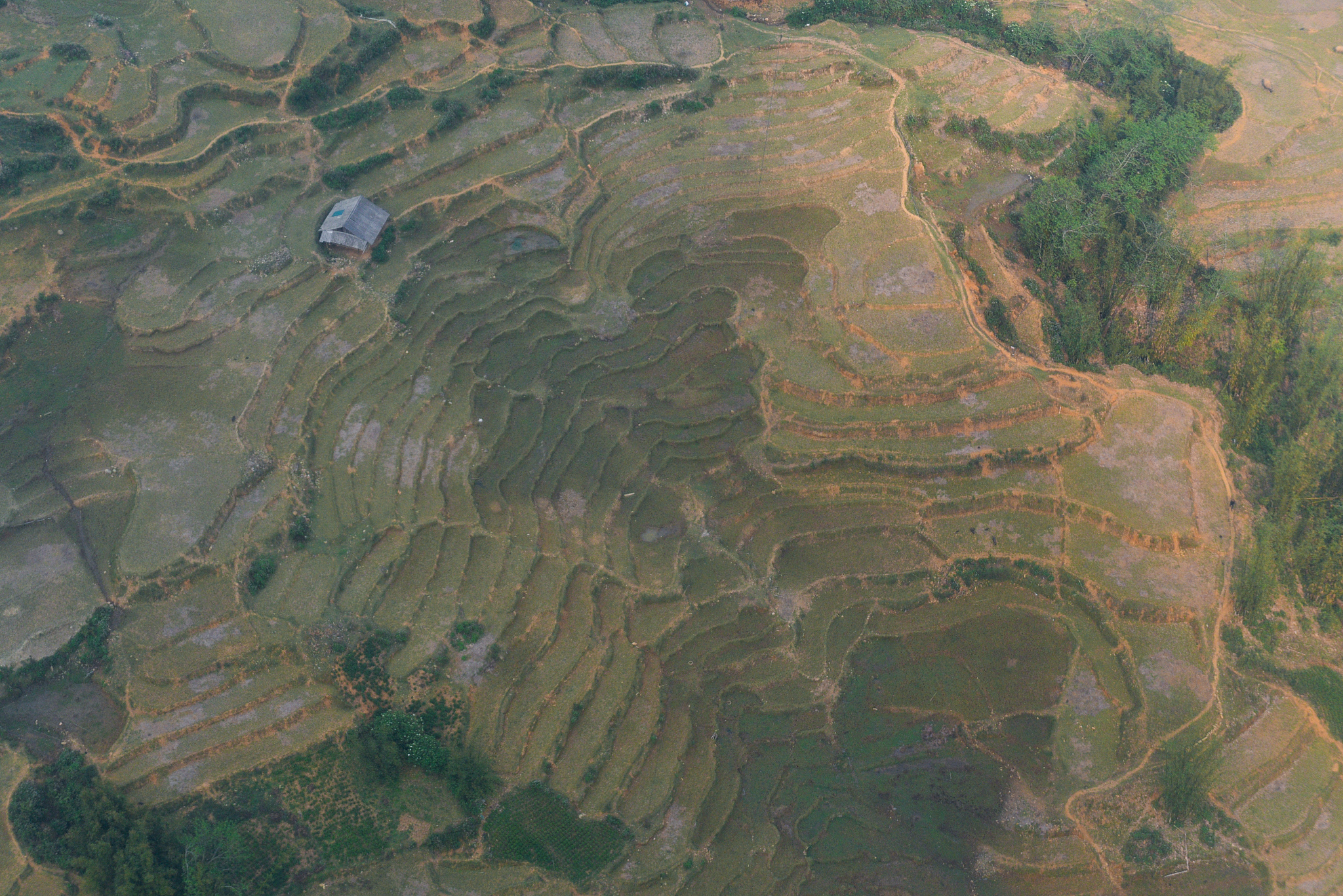 sapa vietnam fansipan peak in morning fog,the highest mountain i