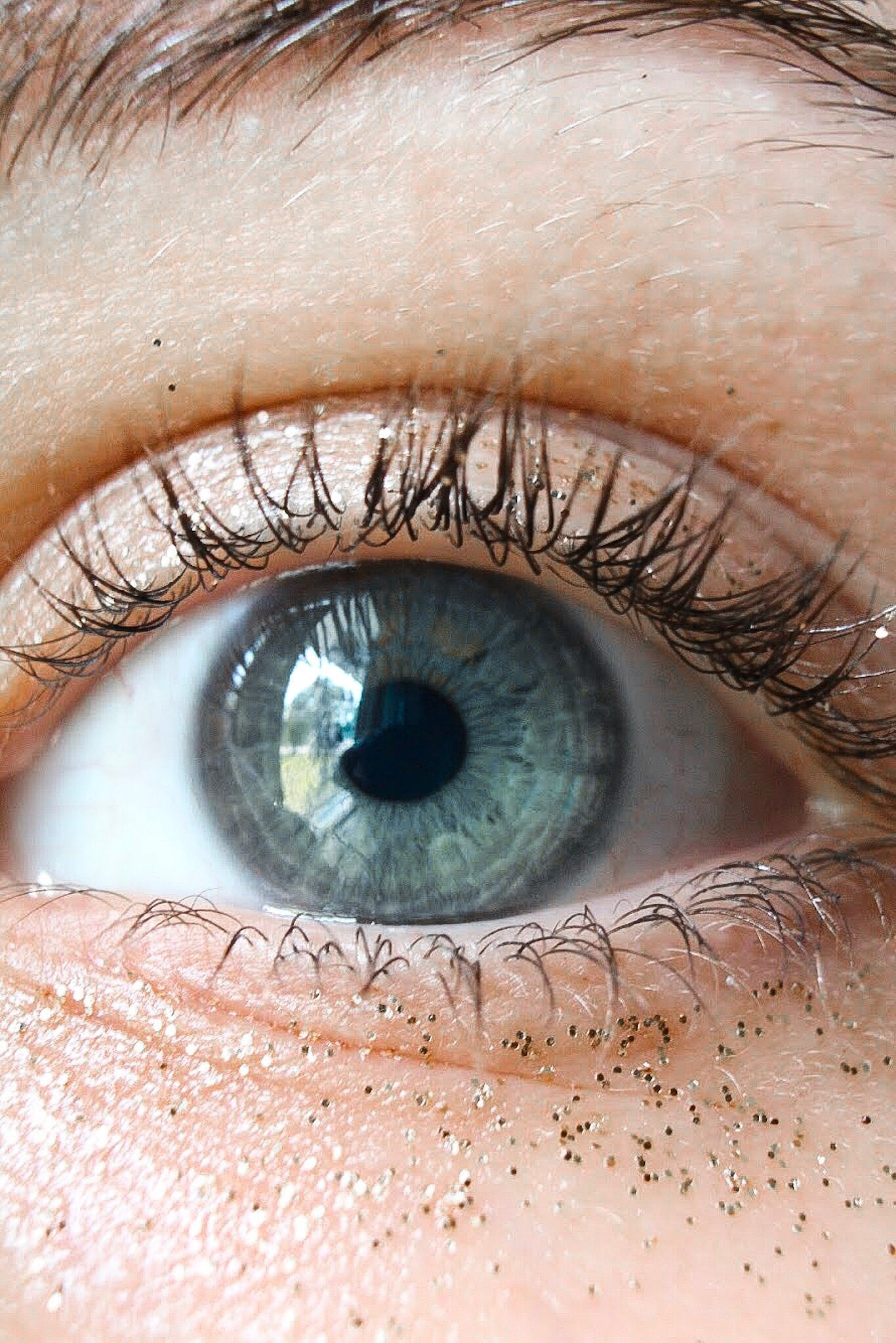 close-up portrait of human eye