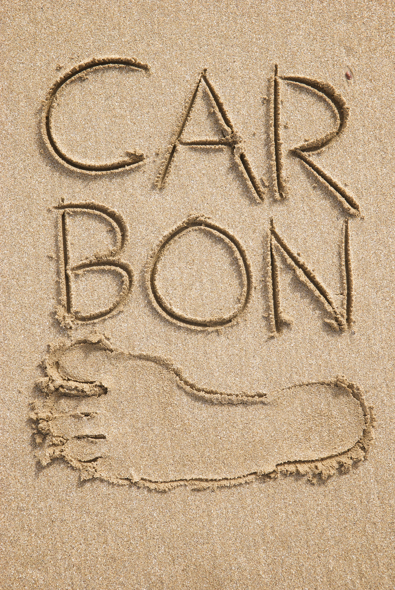 What Coca-Cola has done to support local suppliers and farmers and what results have been achieved