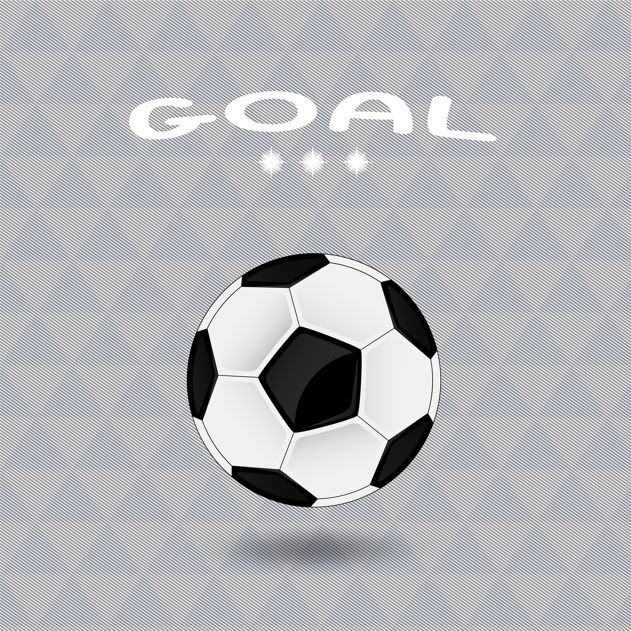 a soccer ball
