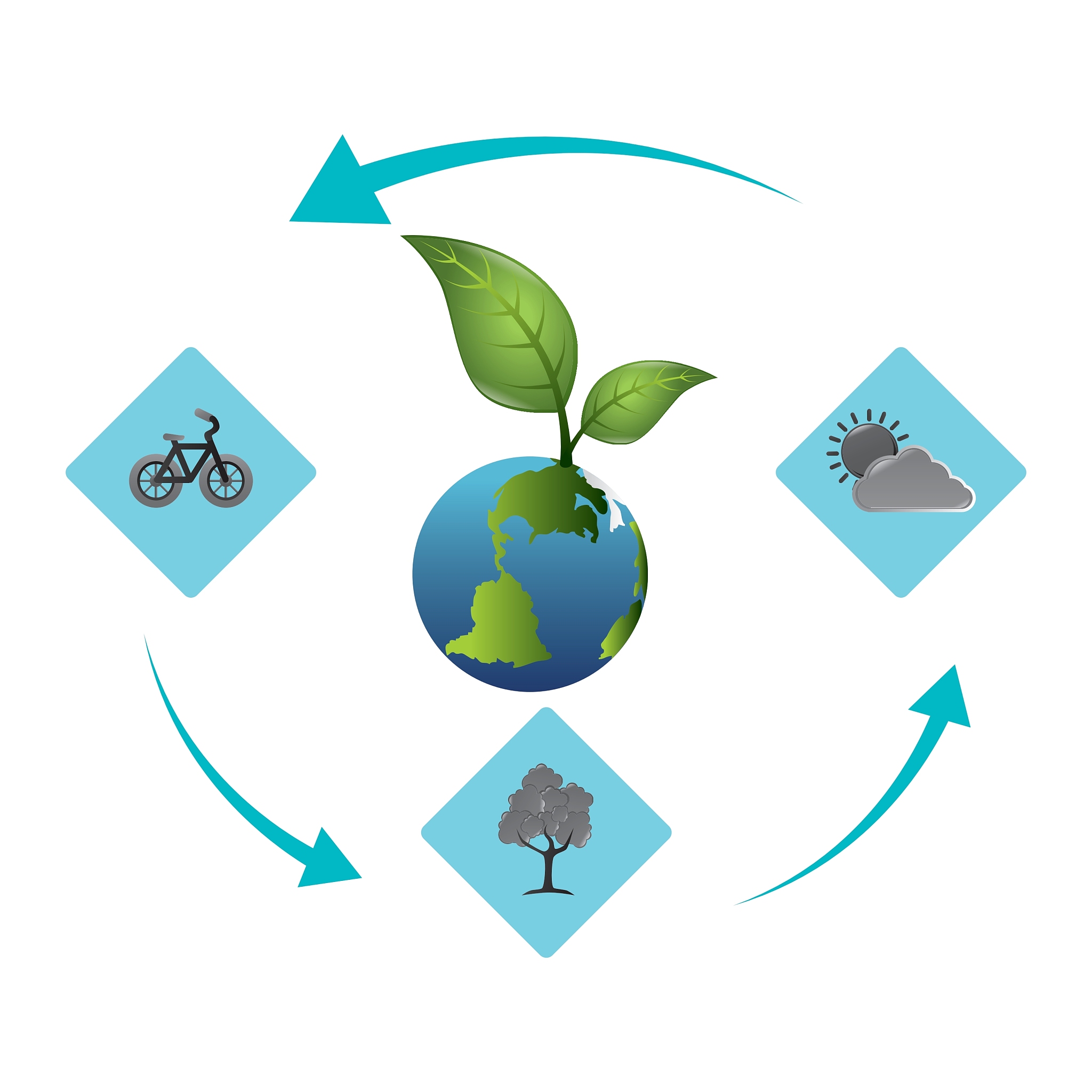 环境保护：我们共同的责任