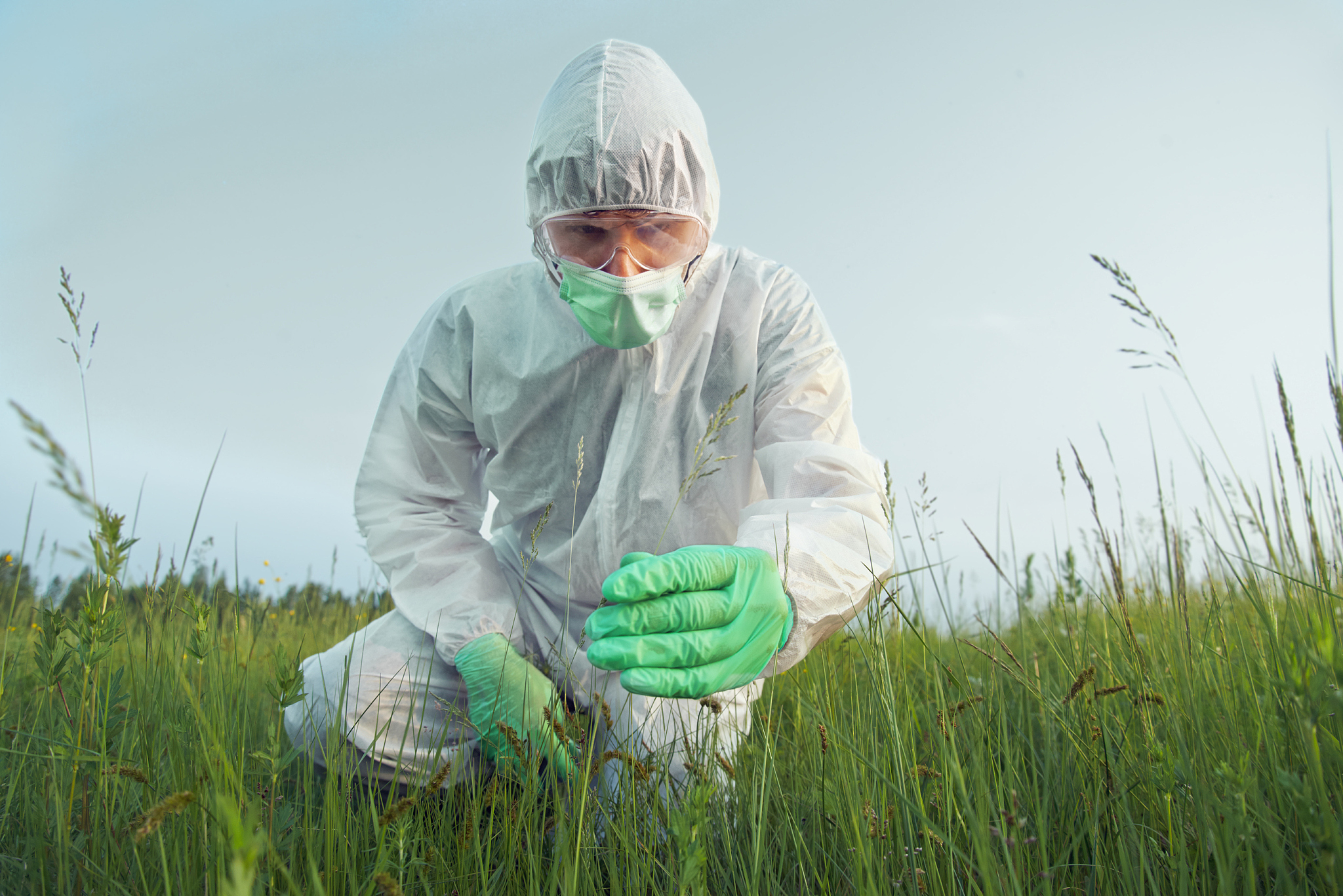 BIOCONTROL SCIENCE AND TECHNOLOGY: 推动生物防治研究的国际期刊