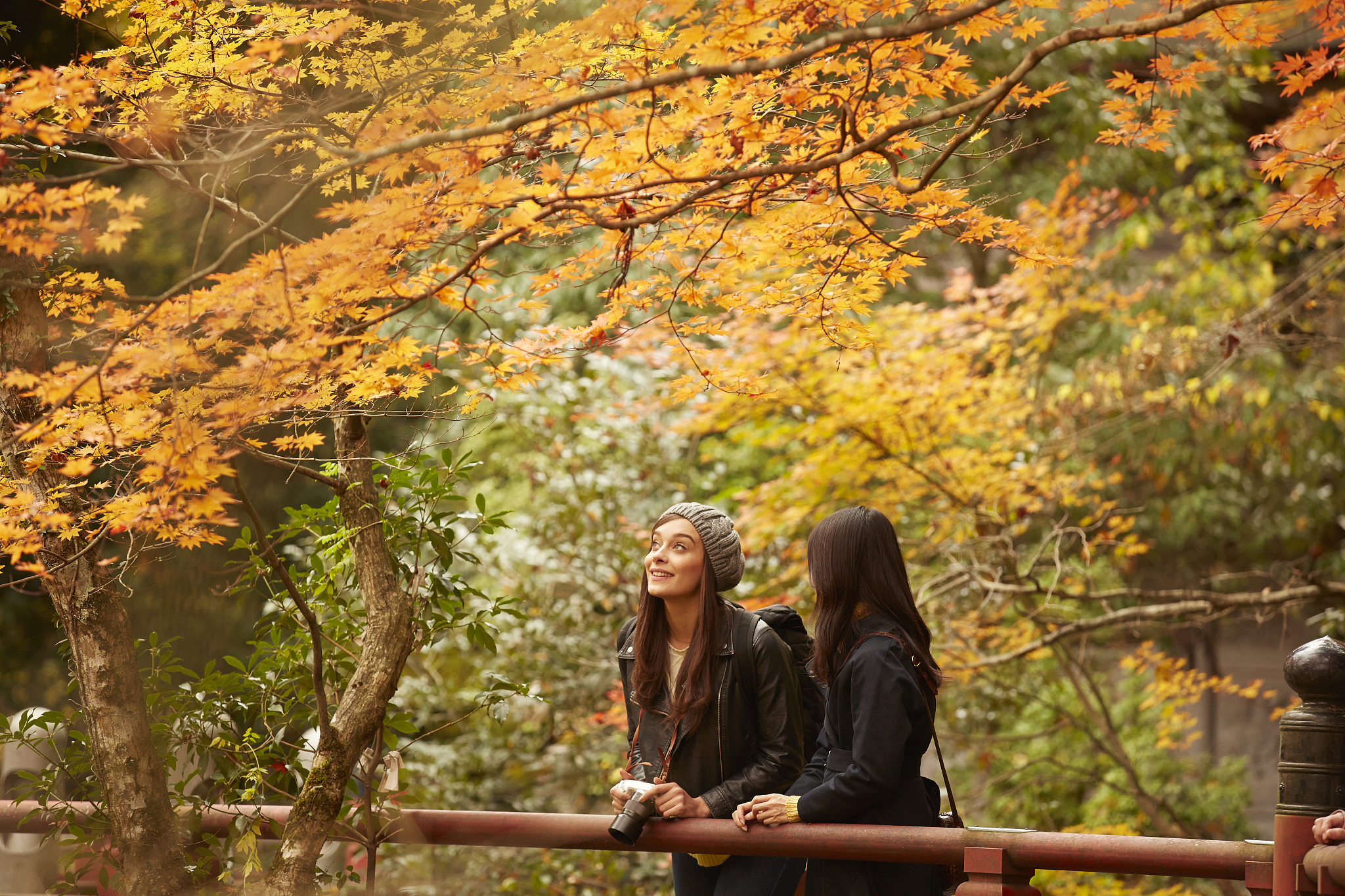 行秋：秋季旅行的最佳选择，也是人生的旅程