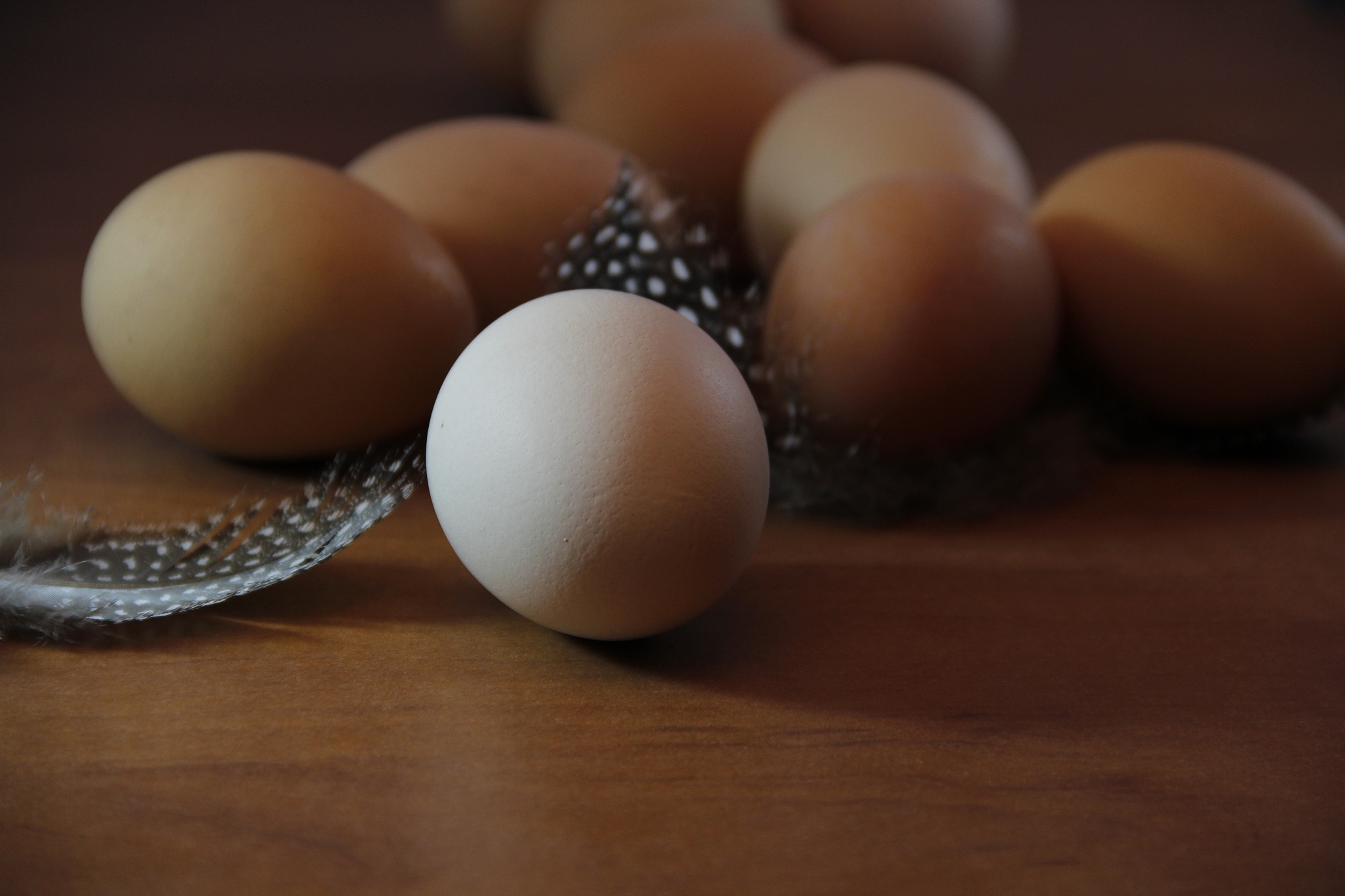 chicken eggs