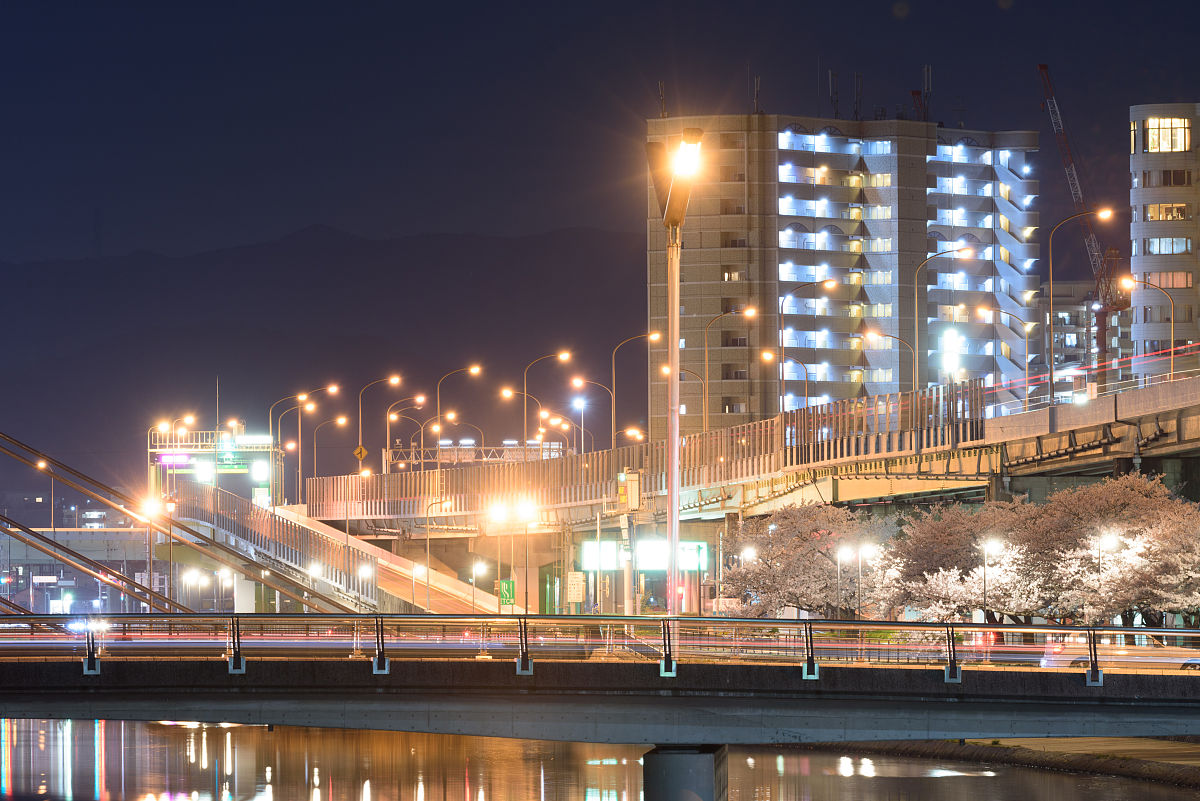 夜晚樱花盛开的城市风光