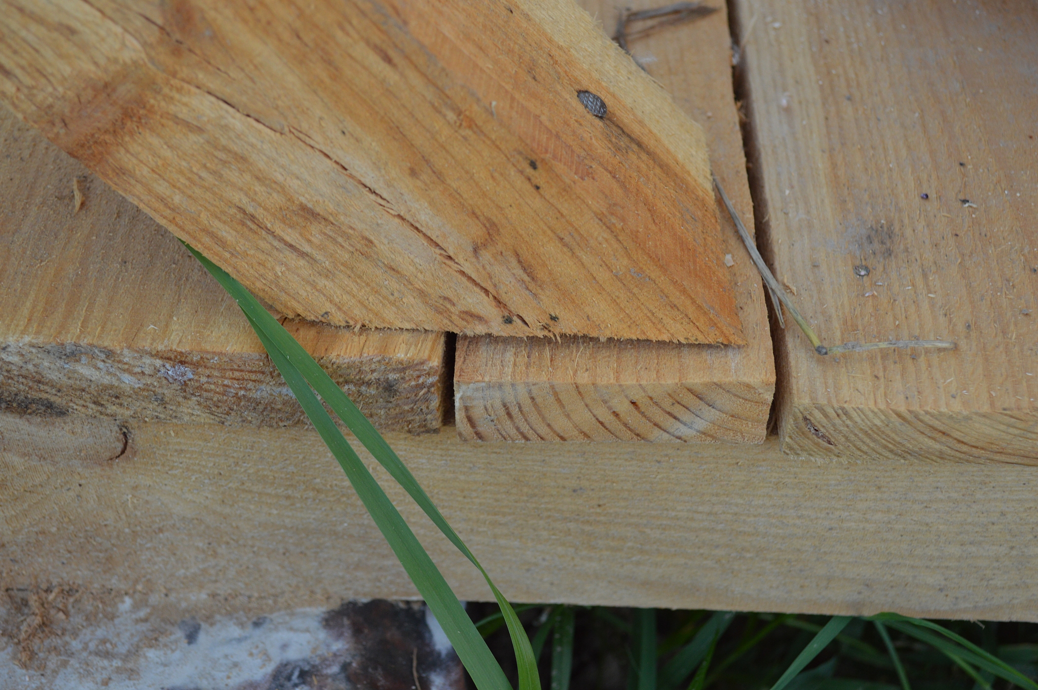 山西省运城市盐湖区如果全部用芬兰松建造房子有没有白蚁等其他虫害发生