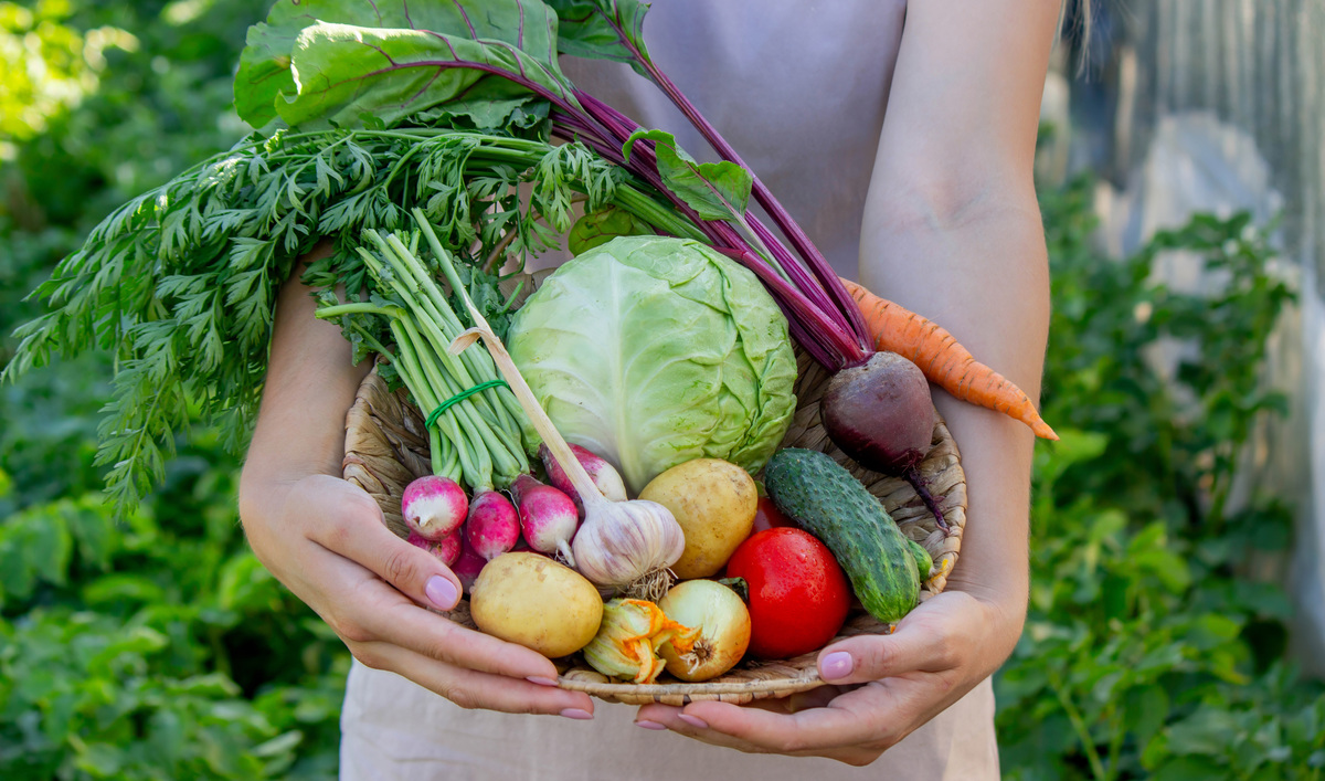 😱常吃这4种菜=慢性自杀？土豆、韭菜、金针菇...颠覆认知！