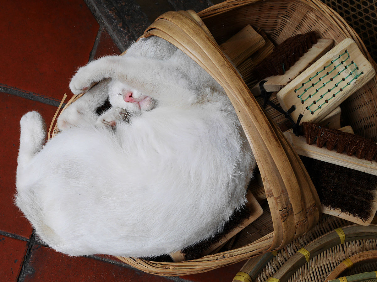 汕头技师学院地址在哪里-怎么去
