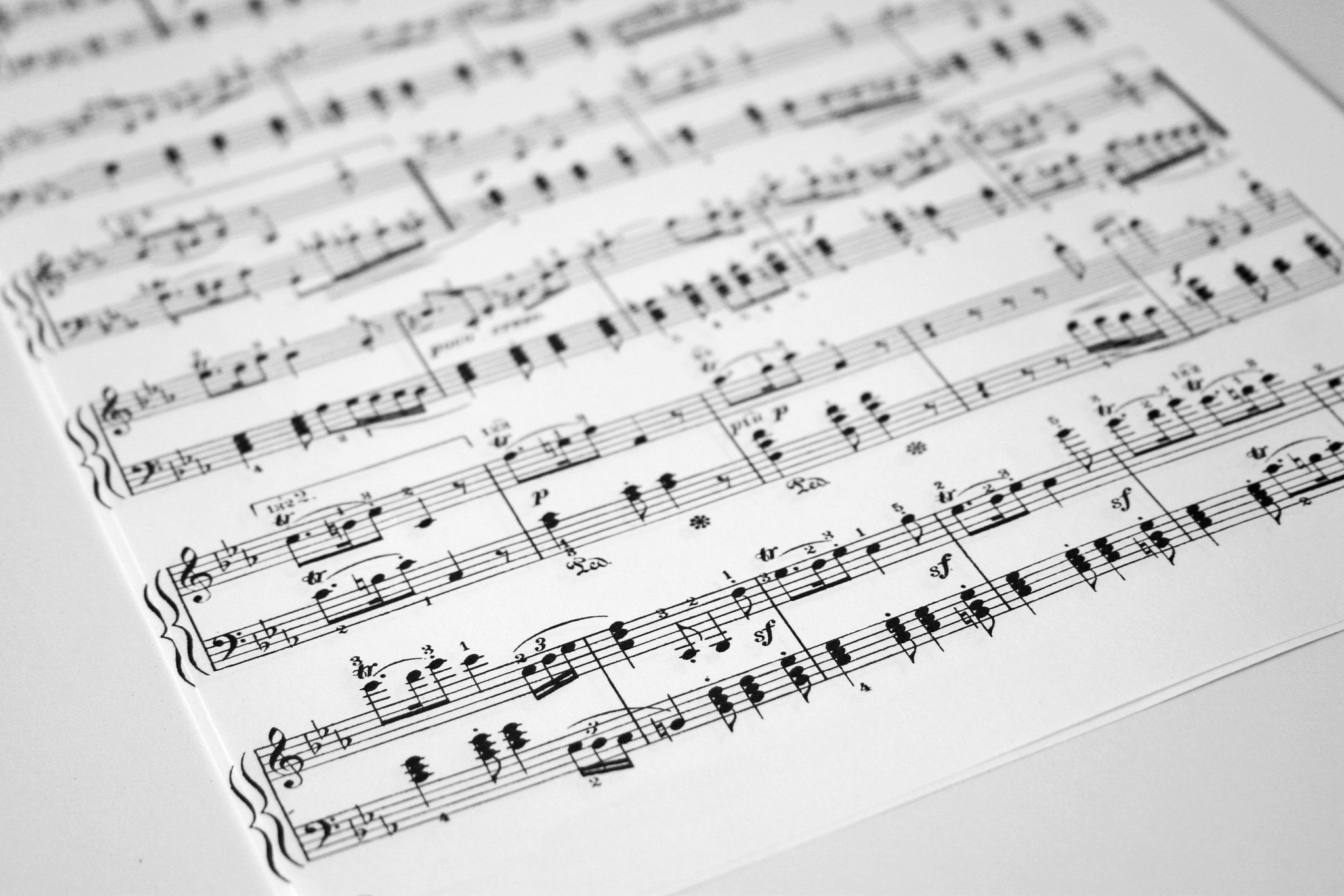 我的特长正常的50字