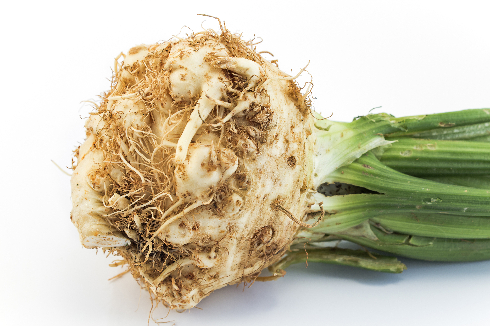 重庆医药科技学校中药制药专业介绍