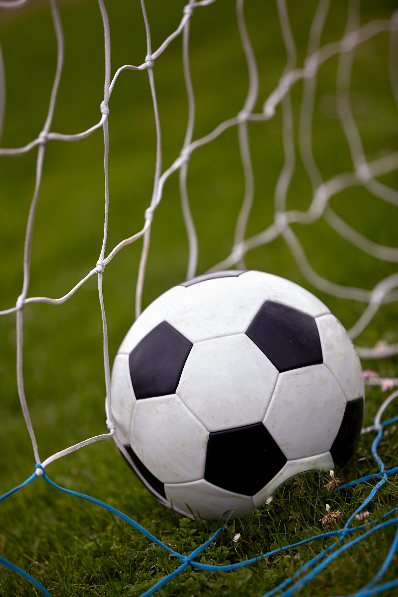 soccer ball