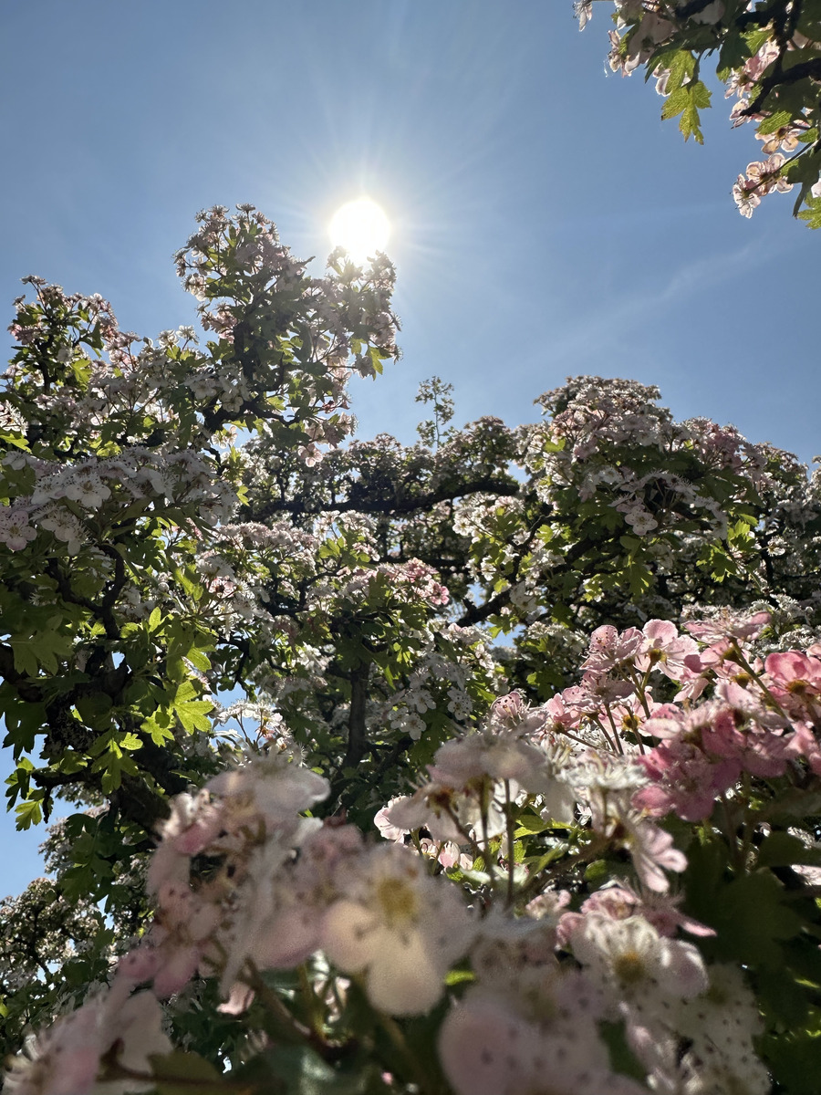 春天，一年中最美丽的季节