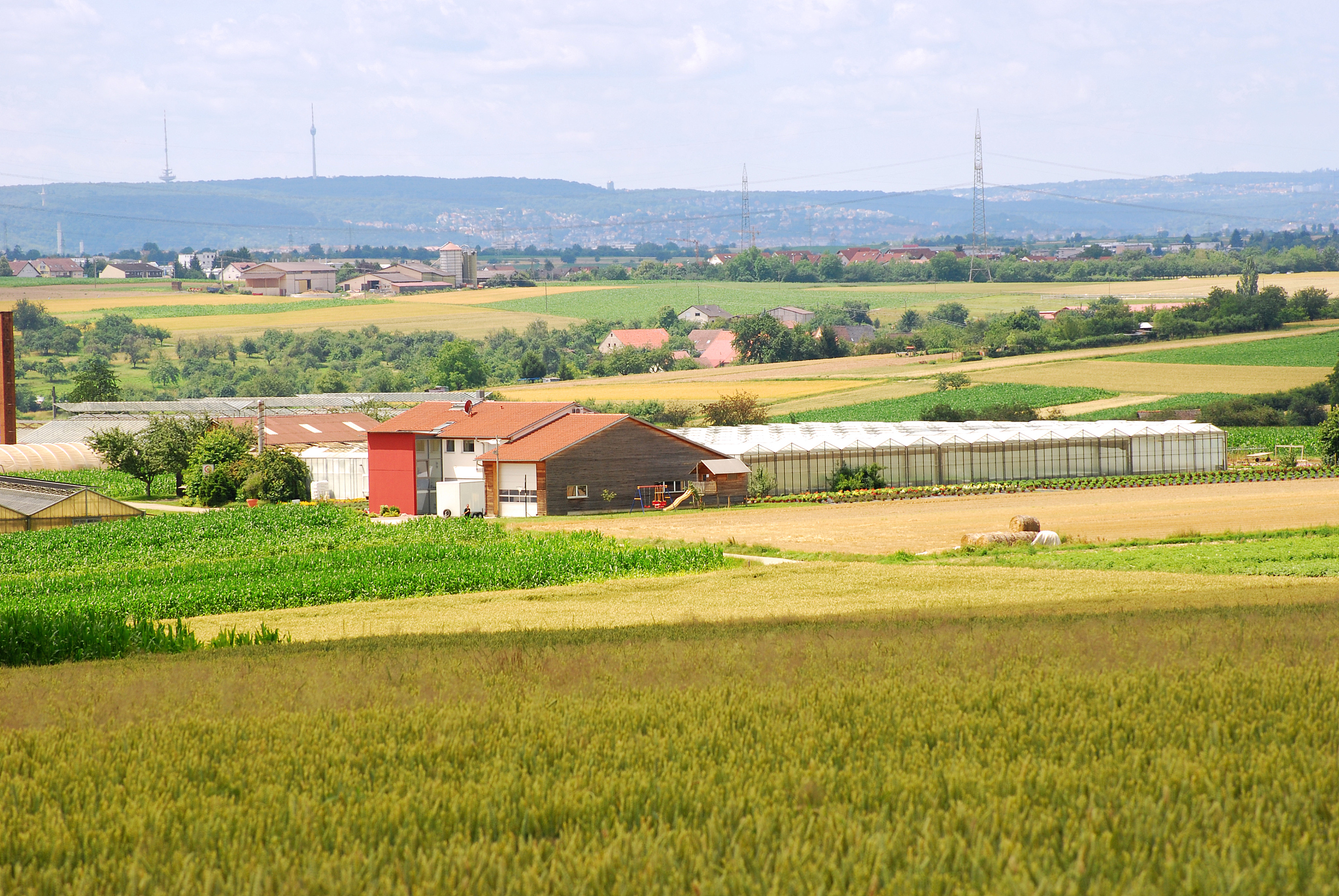 贵州省农业广播电视学校设施农业与装备专业学习体验：值得选择吗？