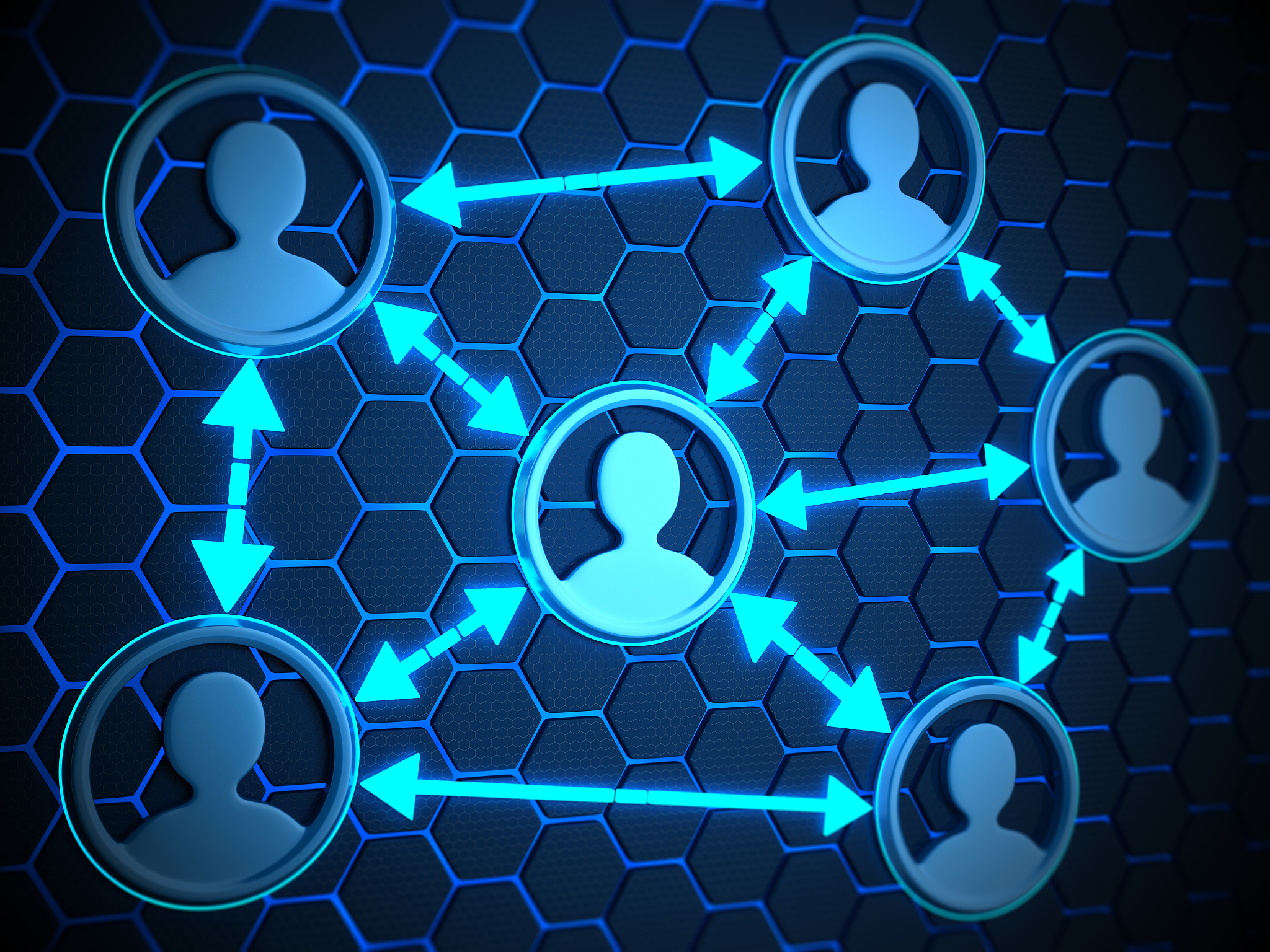 social network