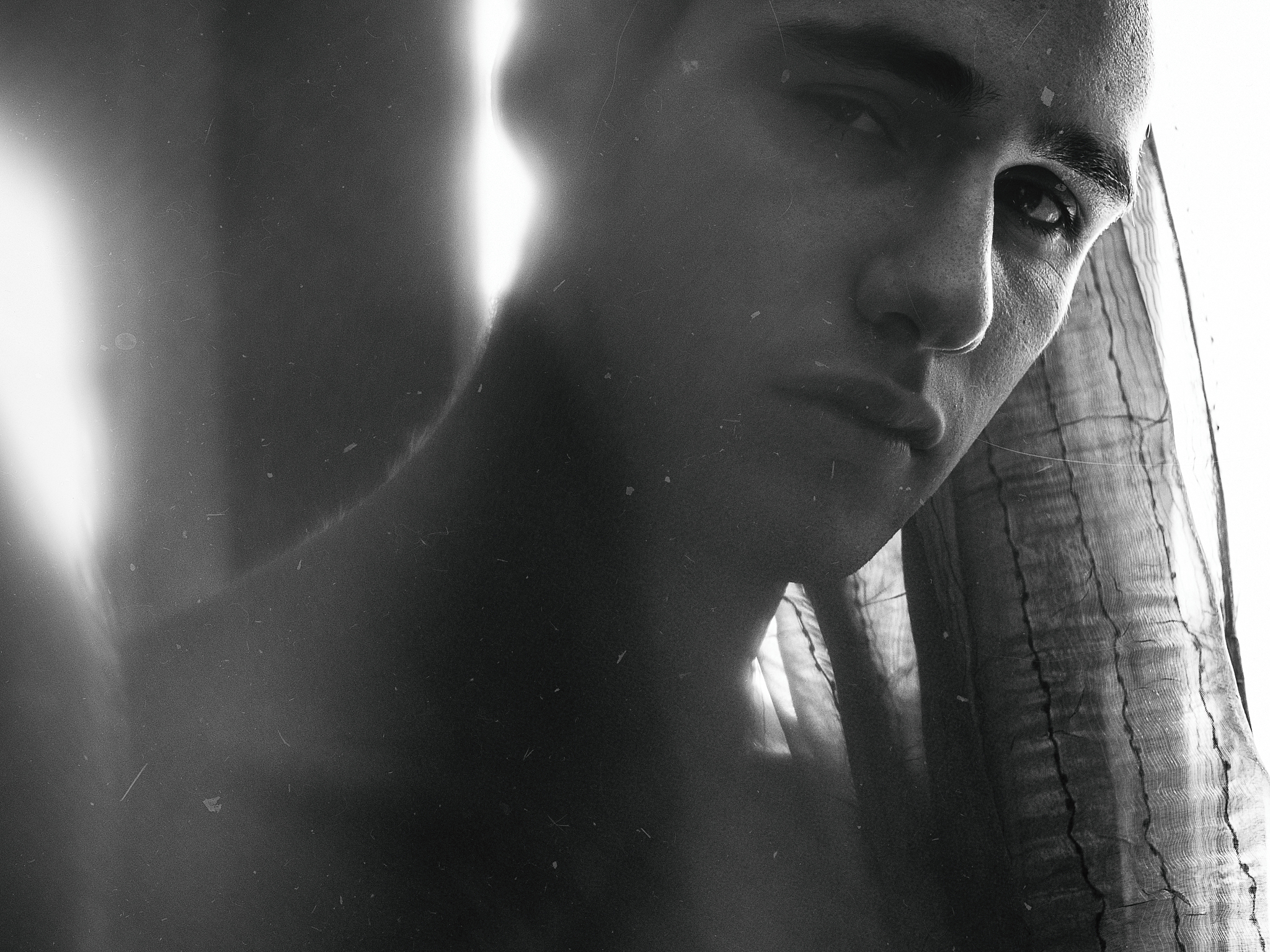 Matthew 19:6 - The Indissolubility of Marriage