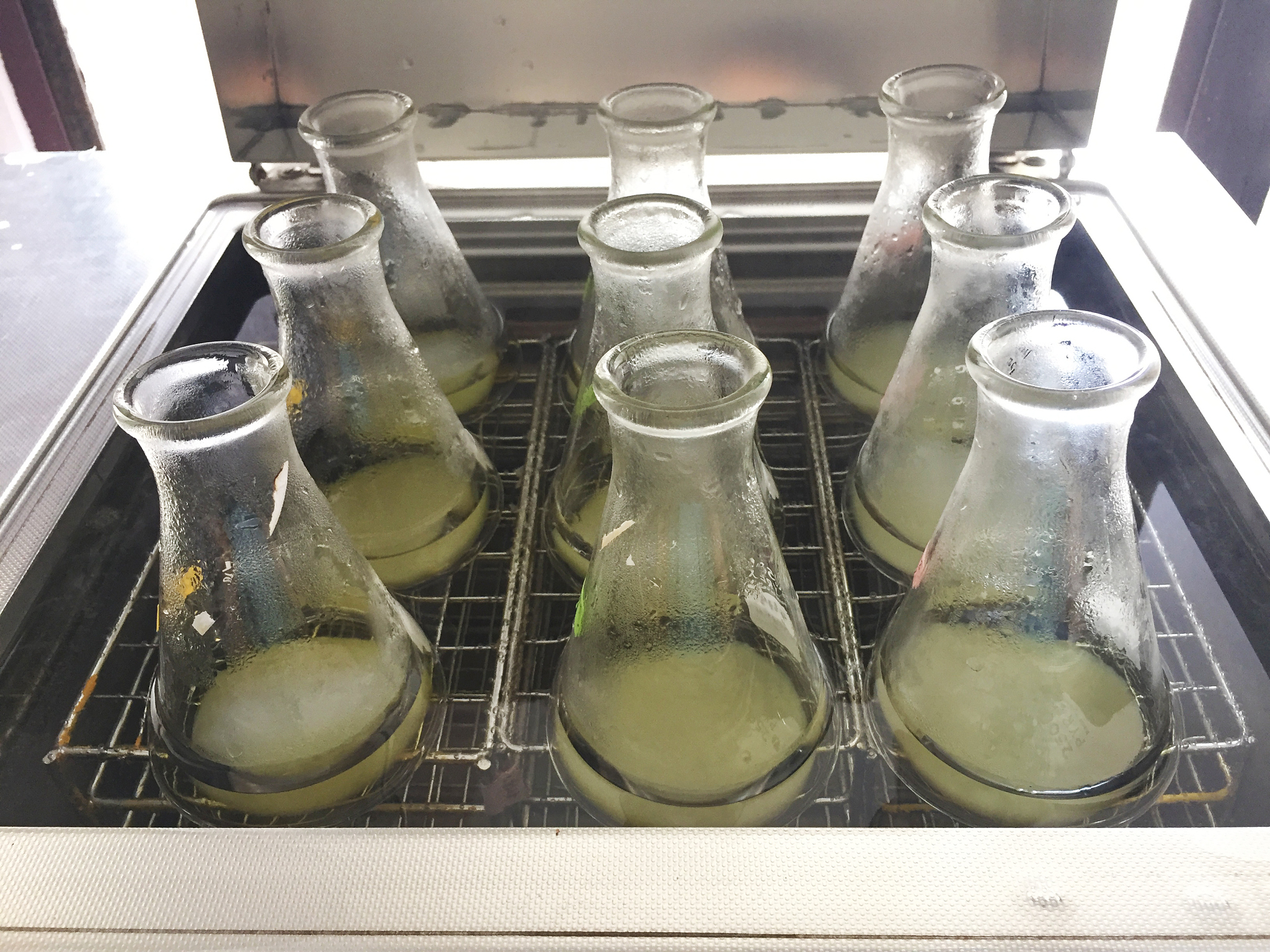 油脂过氧化值测定实验：为何蒸馏水需煮沸？