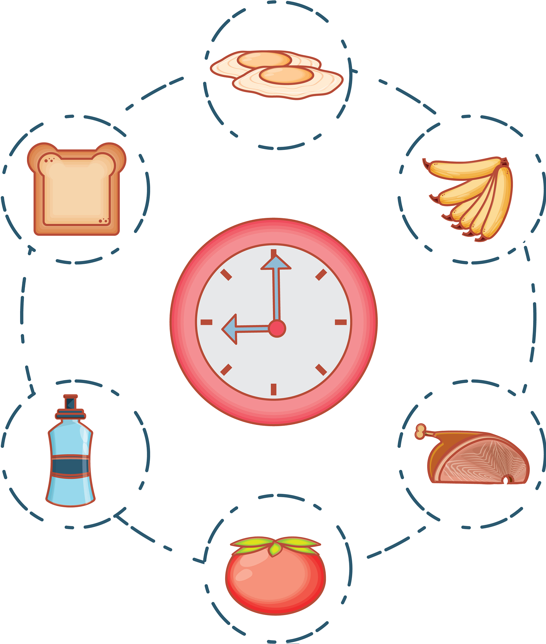 生活作息应该是几点到 几点