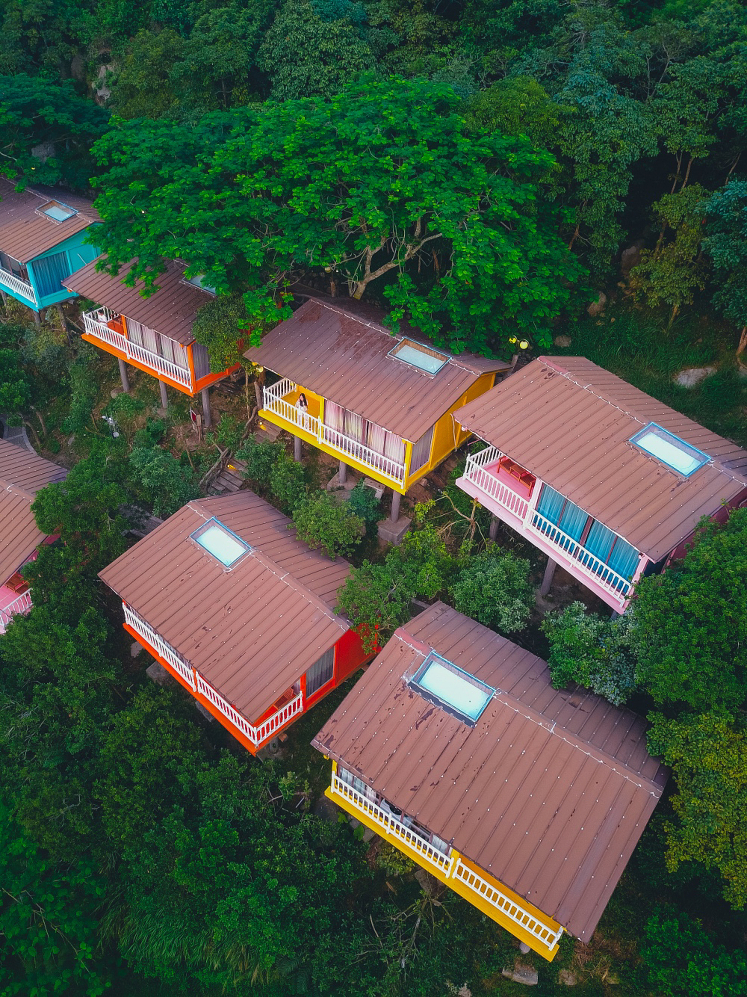 茂名媒体联系方式：获取新闻资讯与服务的便捷途径