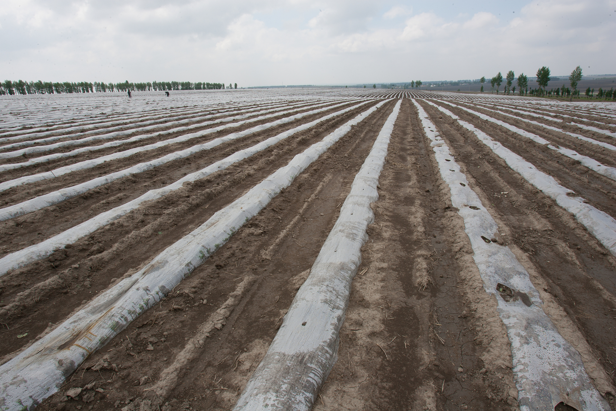 赤峰市农牧局开展打击非标地膜专项行动工作总结