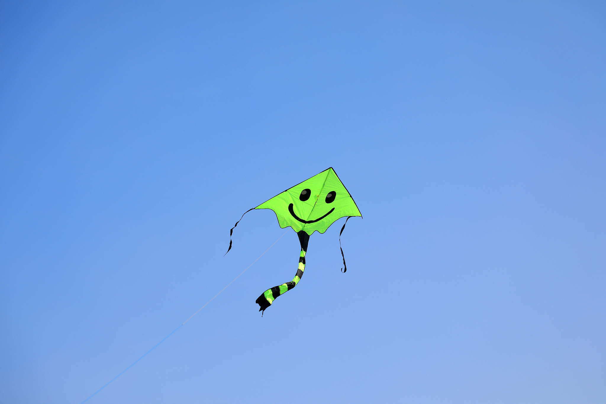 kites are flying in the air