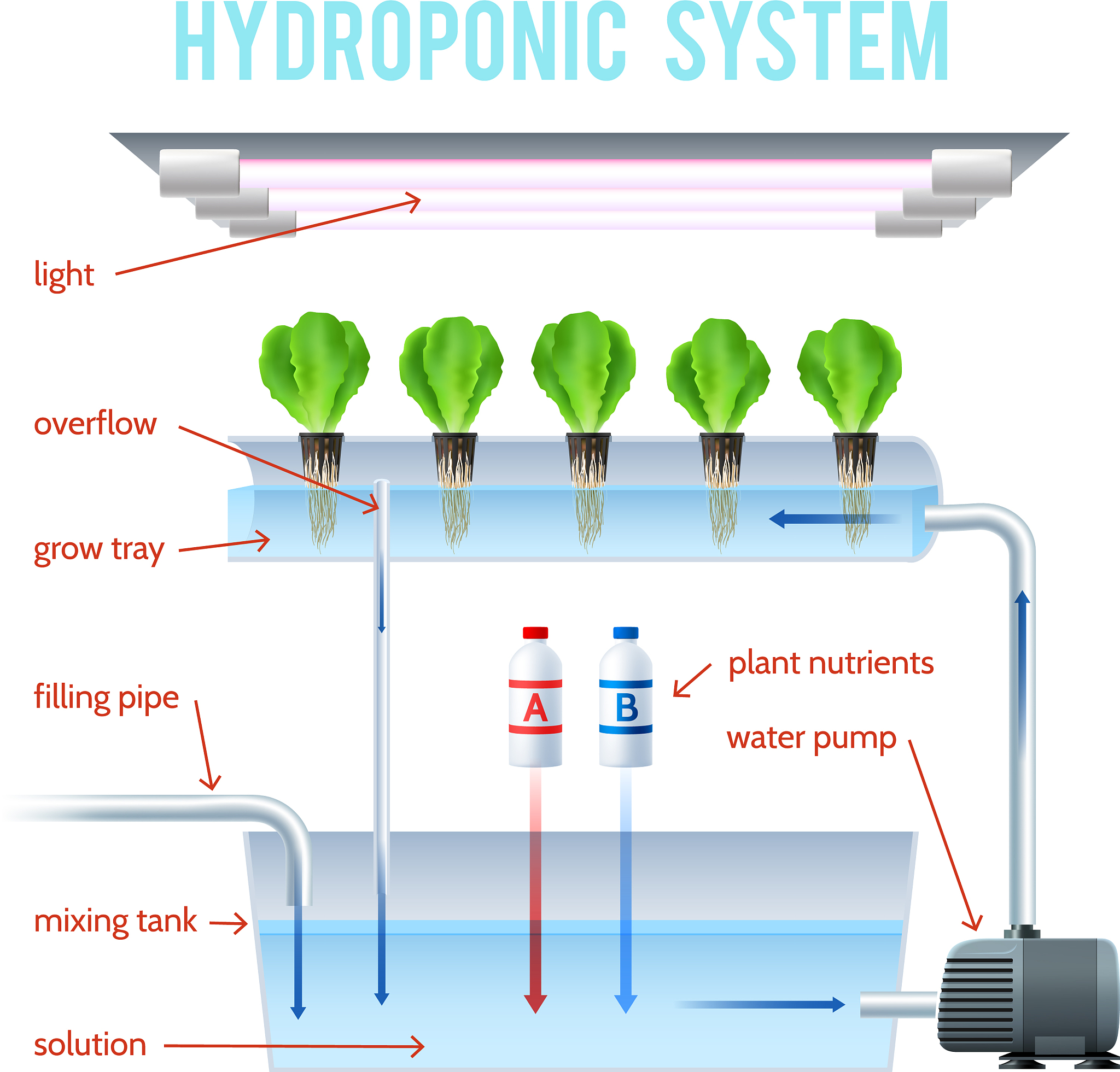 Optimizing Planting Density for High Yield Potential in Modern Hybrid Field Crops