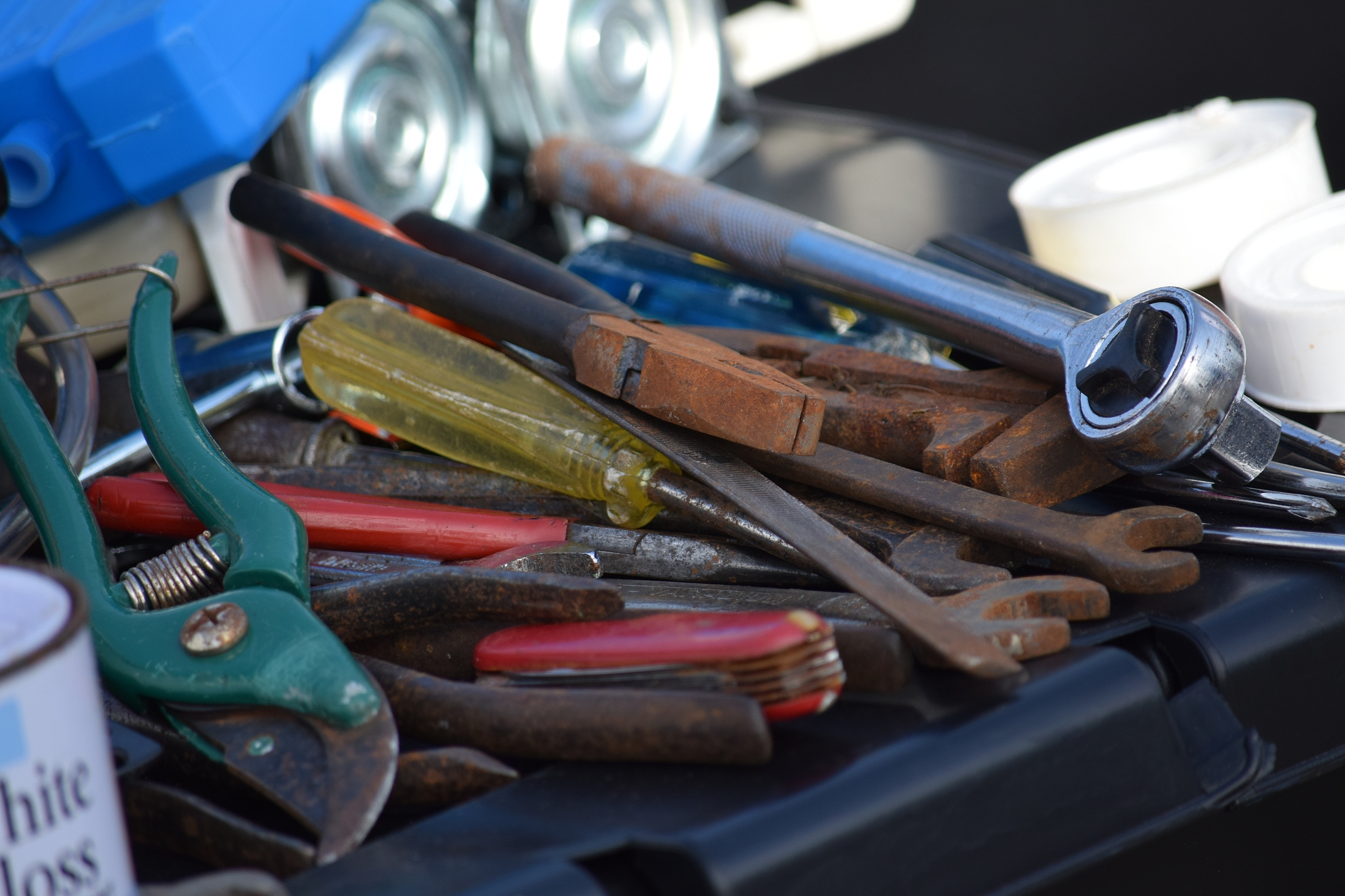 扳手像什么动物回答加拓展