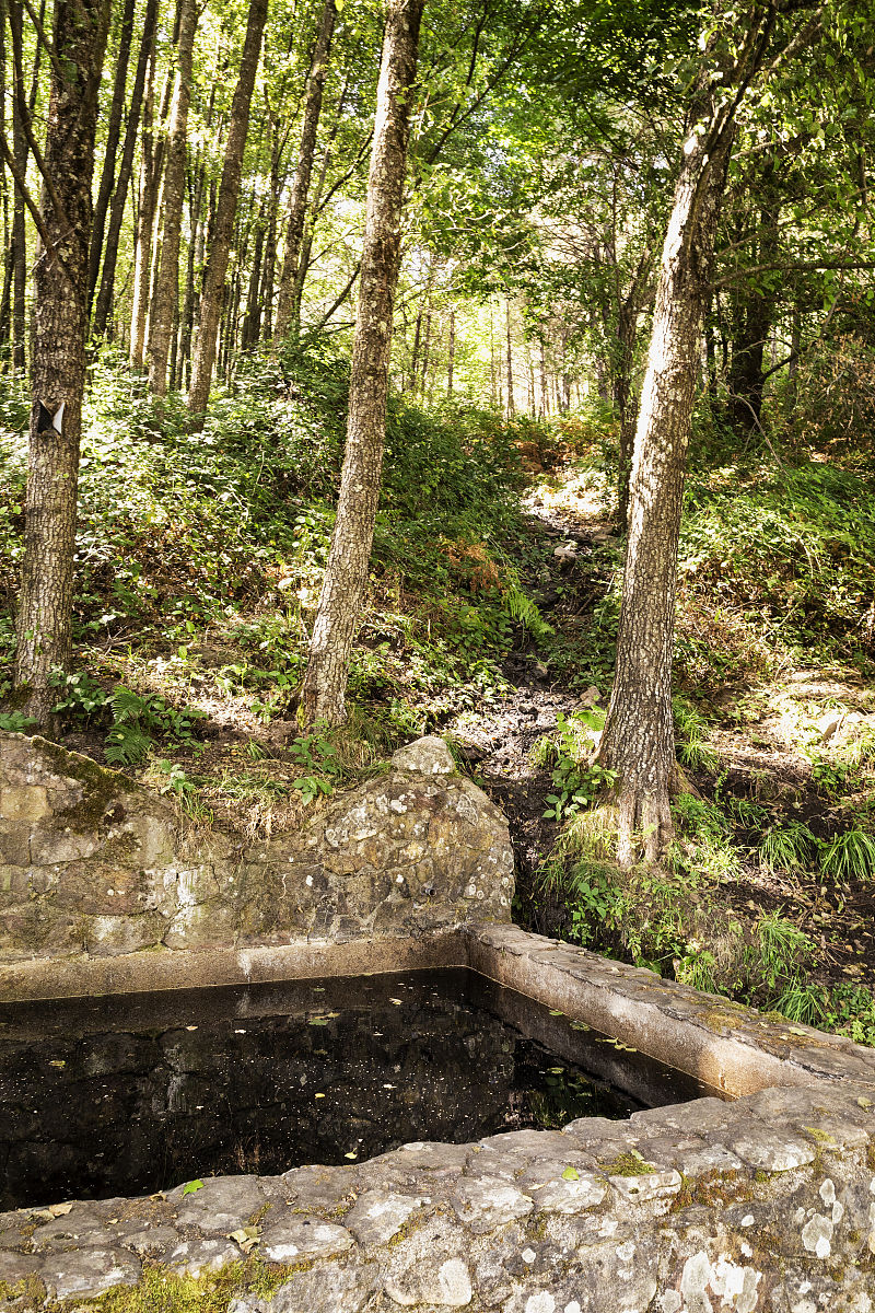 洒水器总流量计算公式及影响因素