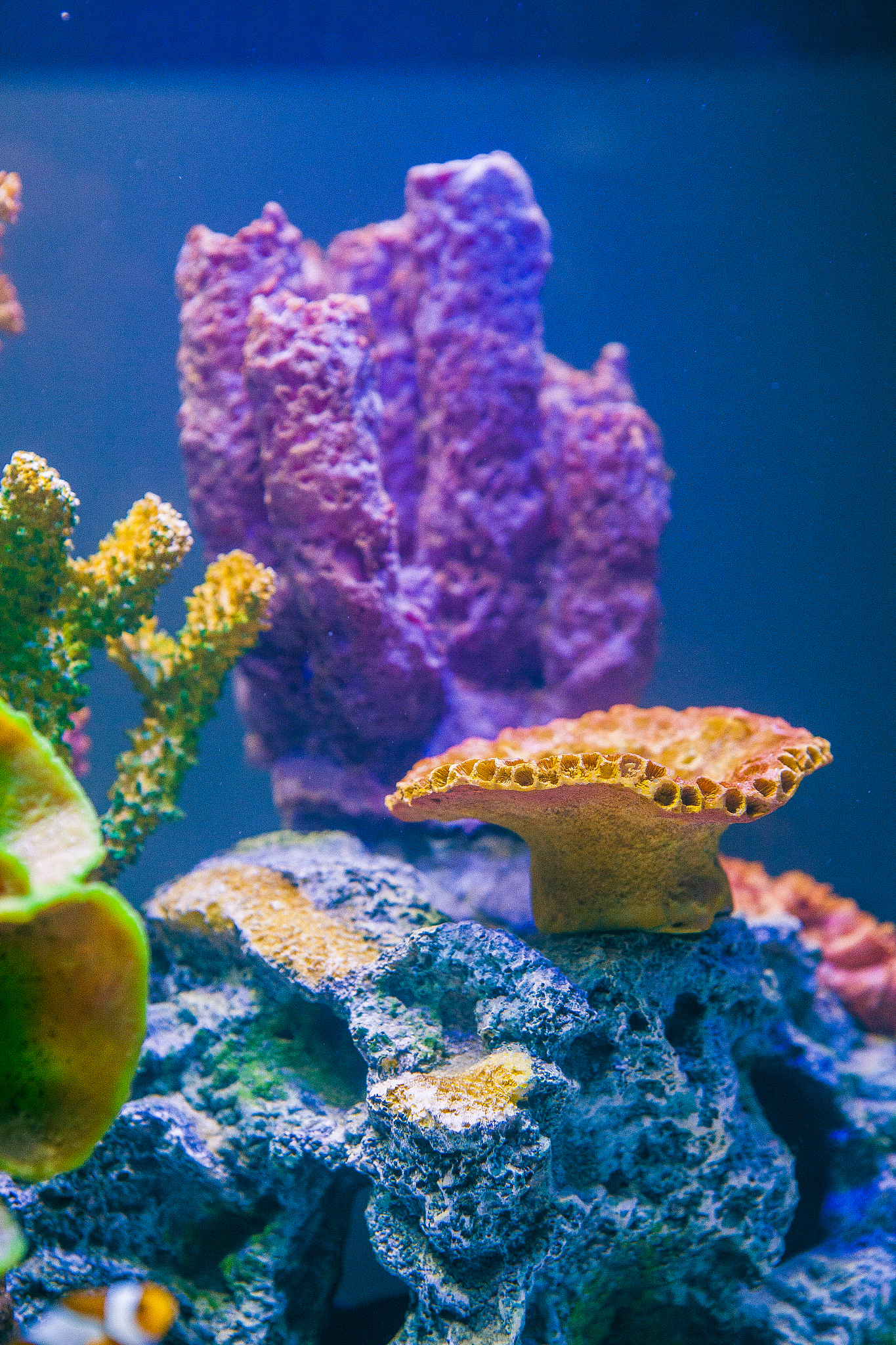 威海海洋职业学院简介