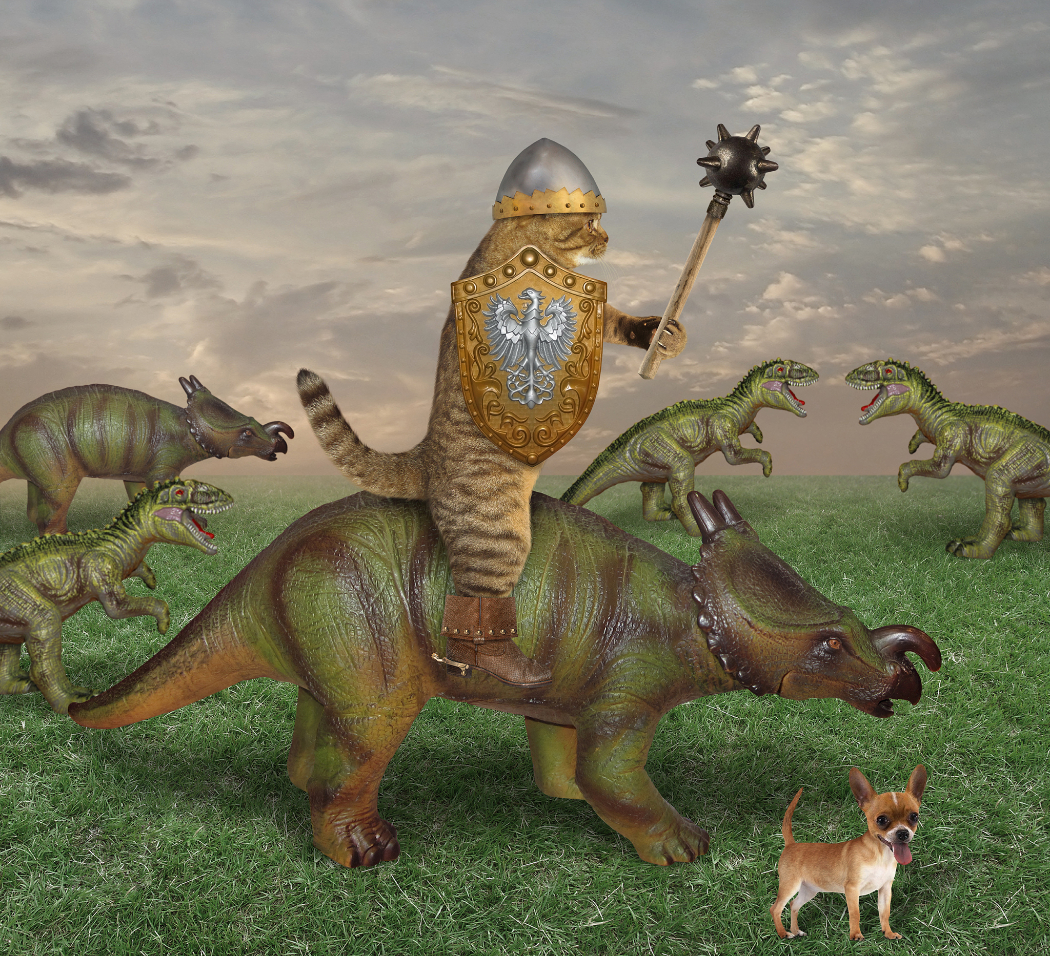 cat fights with dinosaurs 2