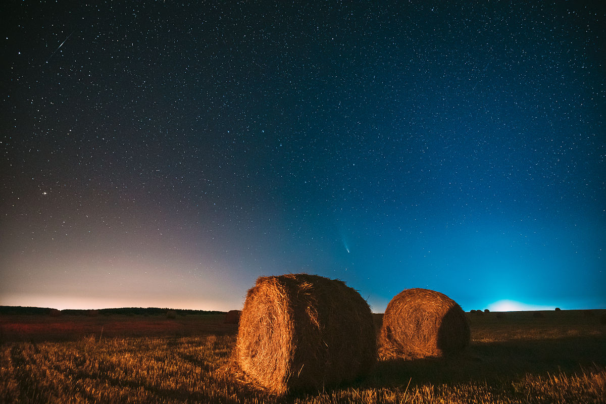 气候变化对农业的影响：文献综述