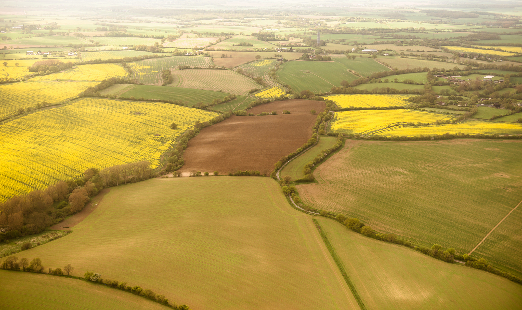 aerial view of cultivated land in london