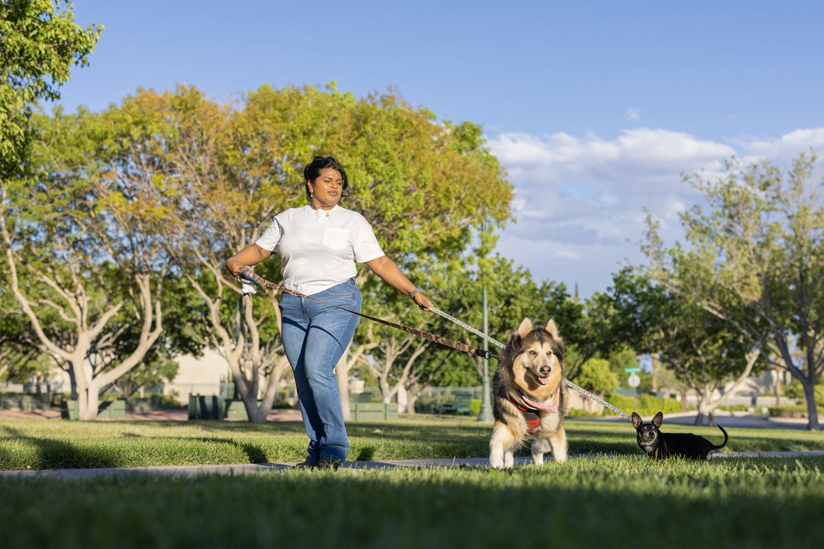 狗狗视角：我的快乐散步时光