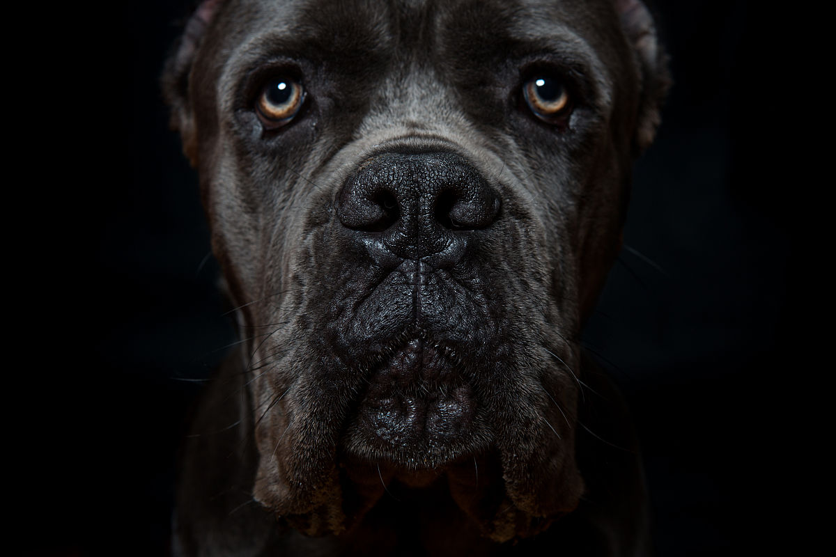 成都铁路学校铁道运输管理课程详解：内容、优势与就业方向