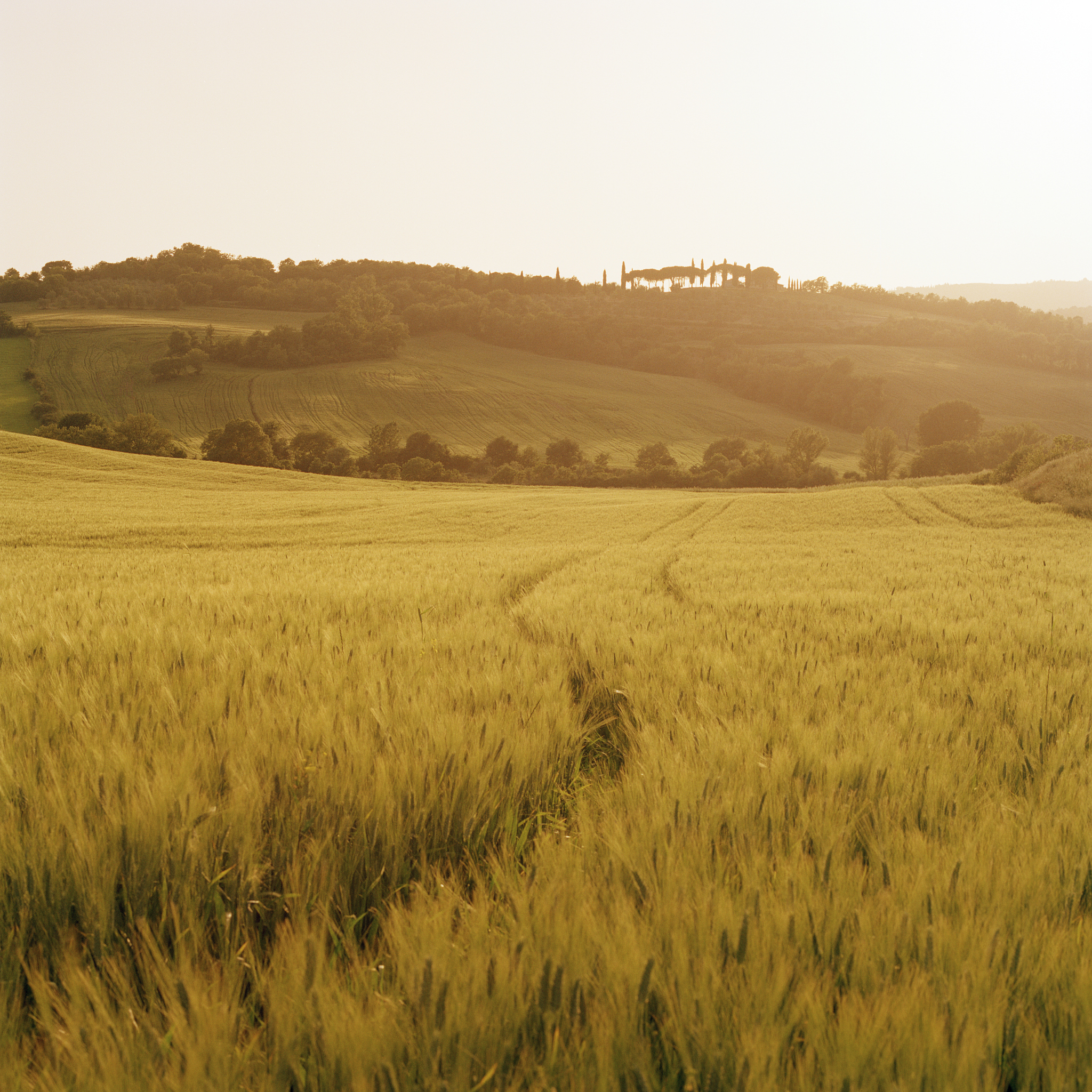 山西省农业机械化学校有什么专业？