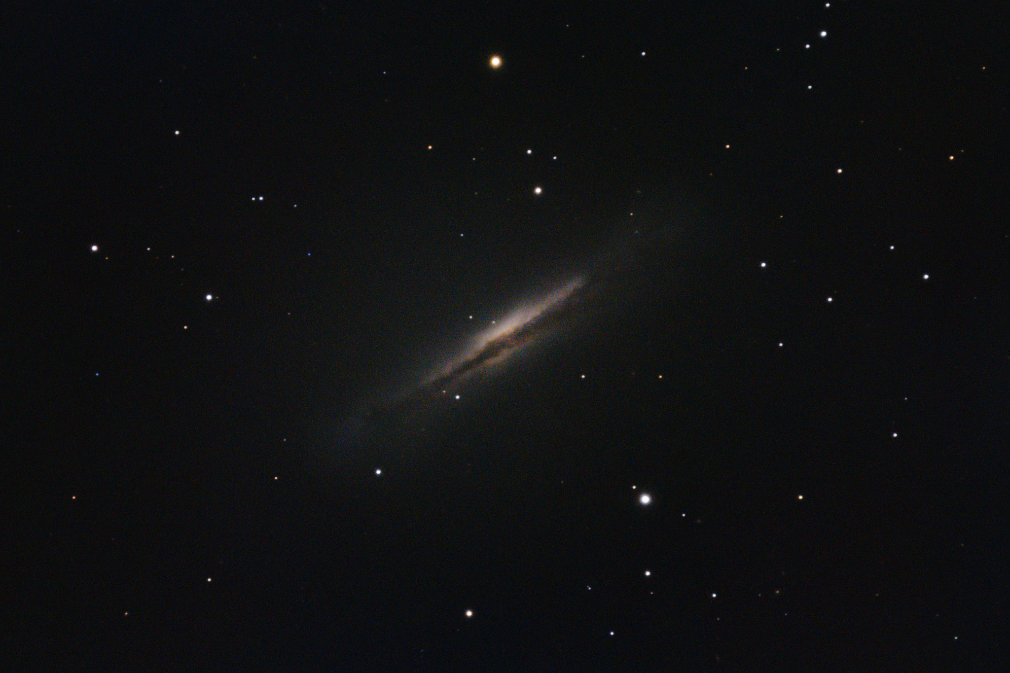hamburger galaxy ngc 3628