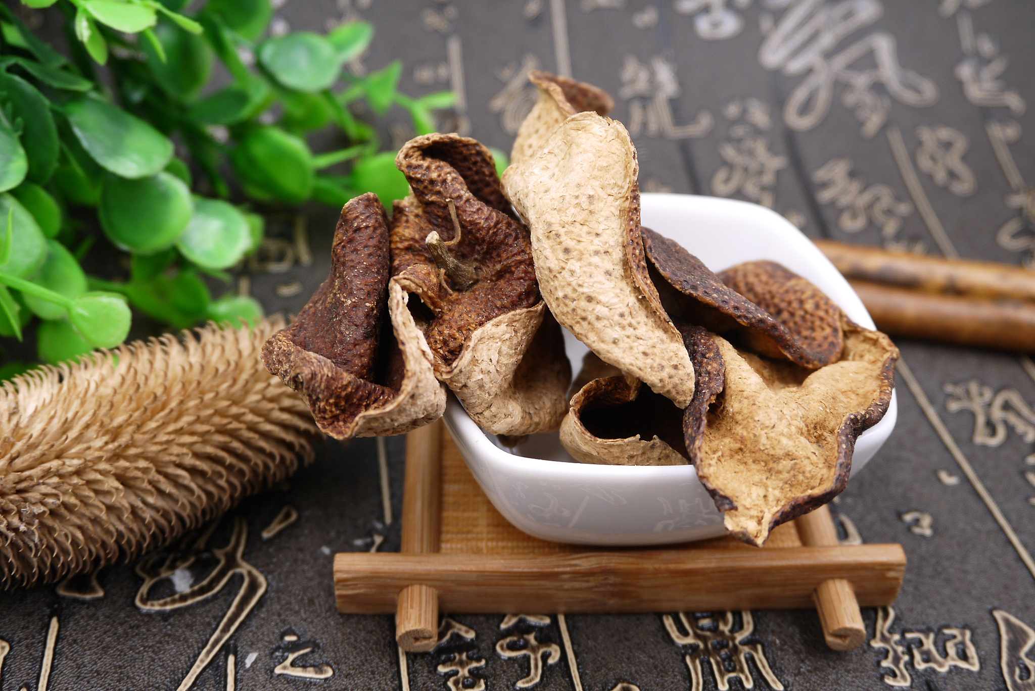 武威职业学院中药专业怎么样？课程设置深度解析！