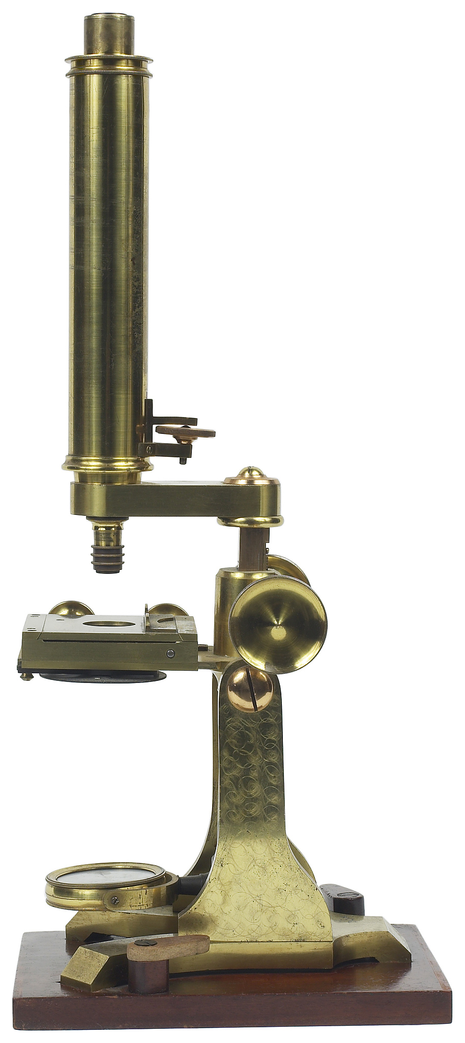 显微镜直接计数法结果偏大的原因分析