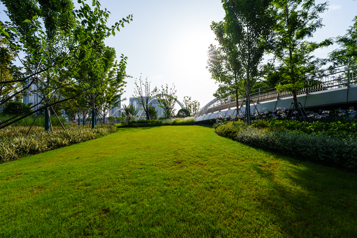 论述乡土植物在西安兴庆公园中和谐共生生态平衡原则的应用原则。