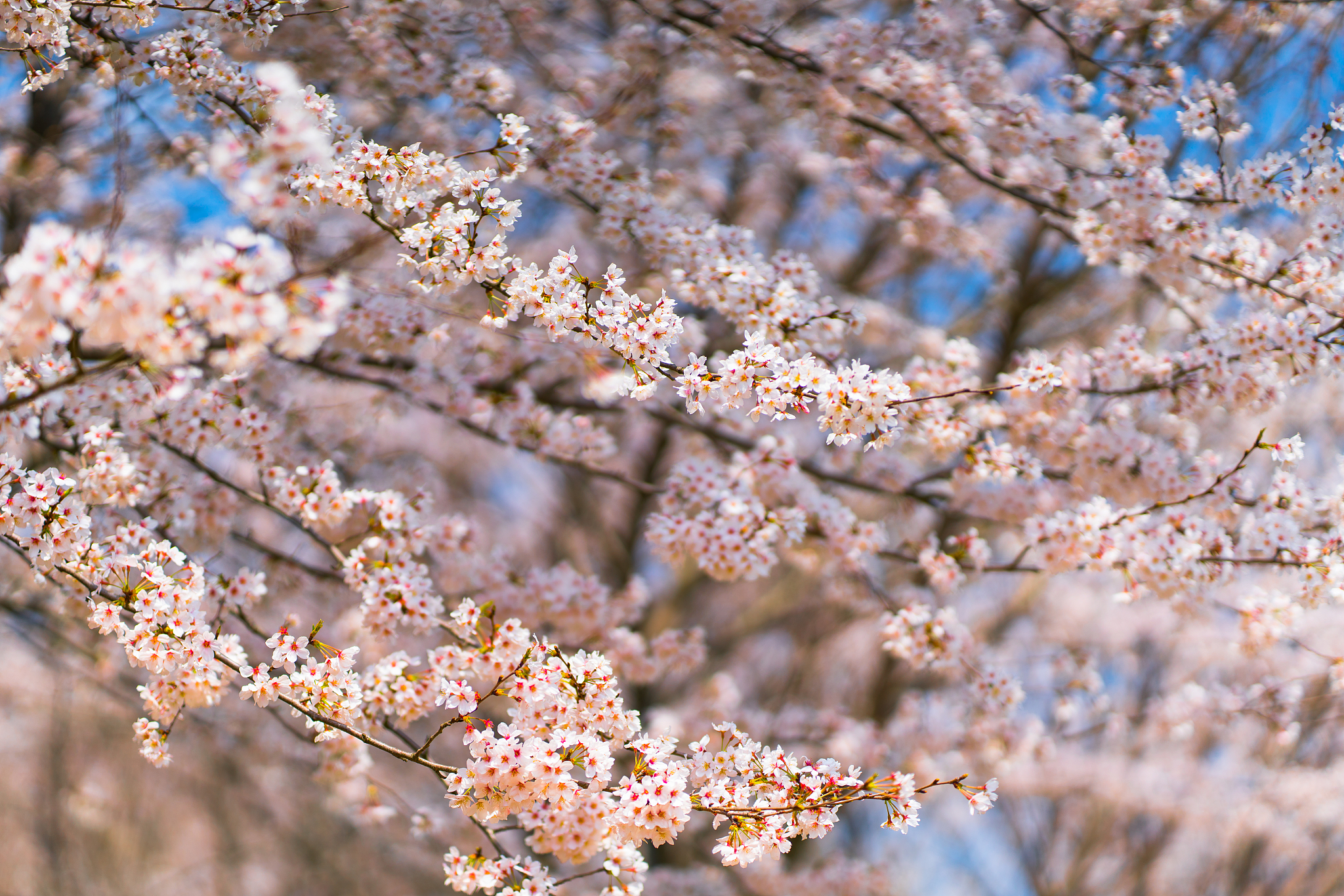 贵阳中专学校排名top5用发