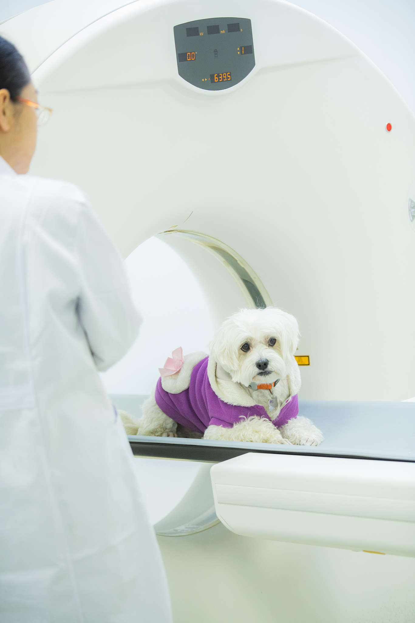 江西农业工程职业学院宠物临床诊疗技术专业优势及发展前景