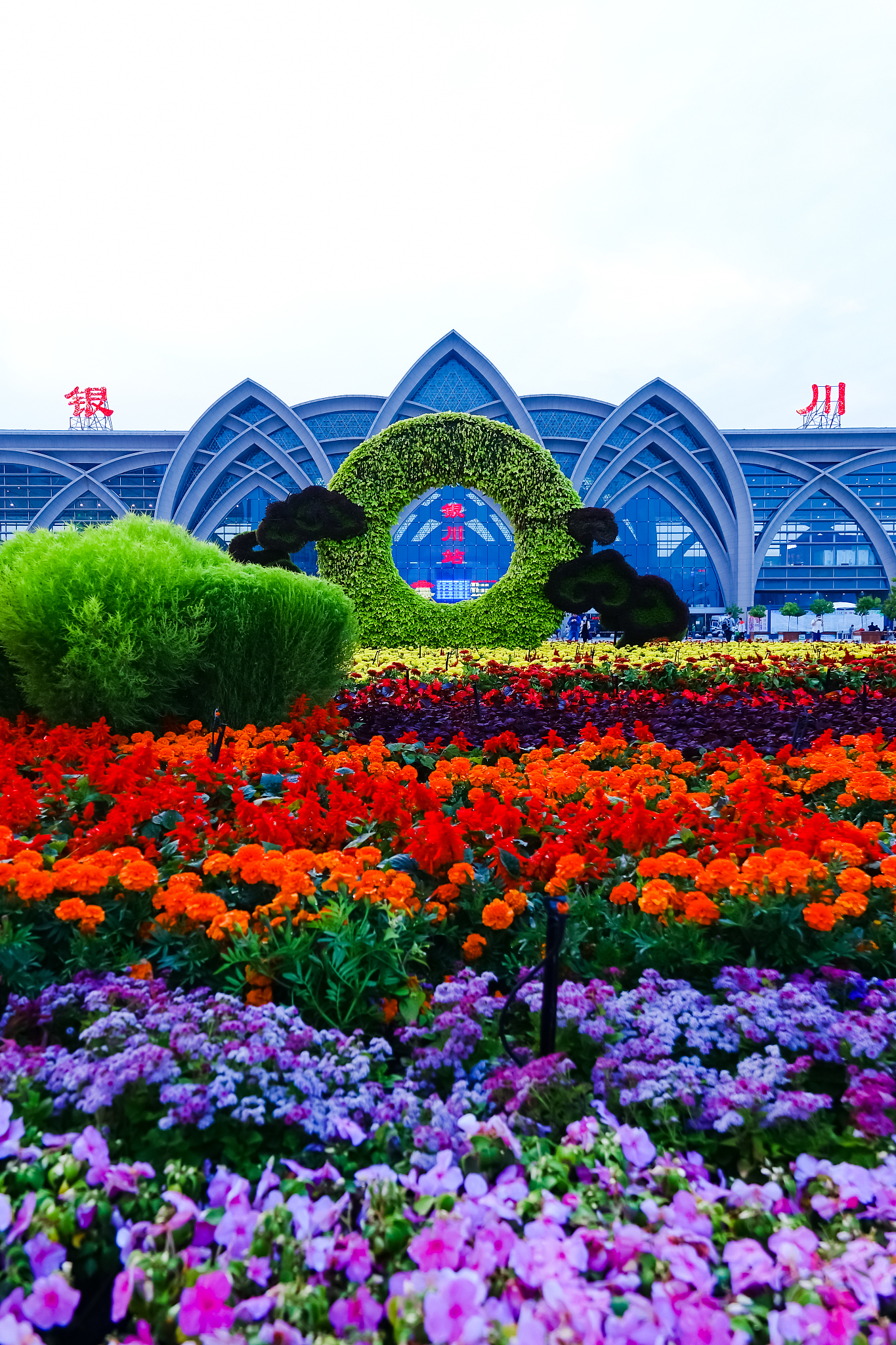 宁夏最好的卫校排名及热门专业推荐