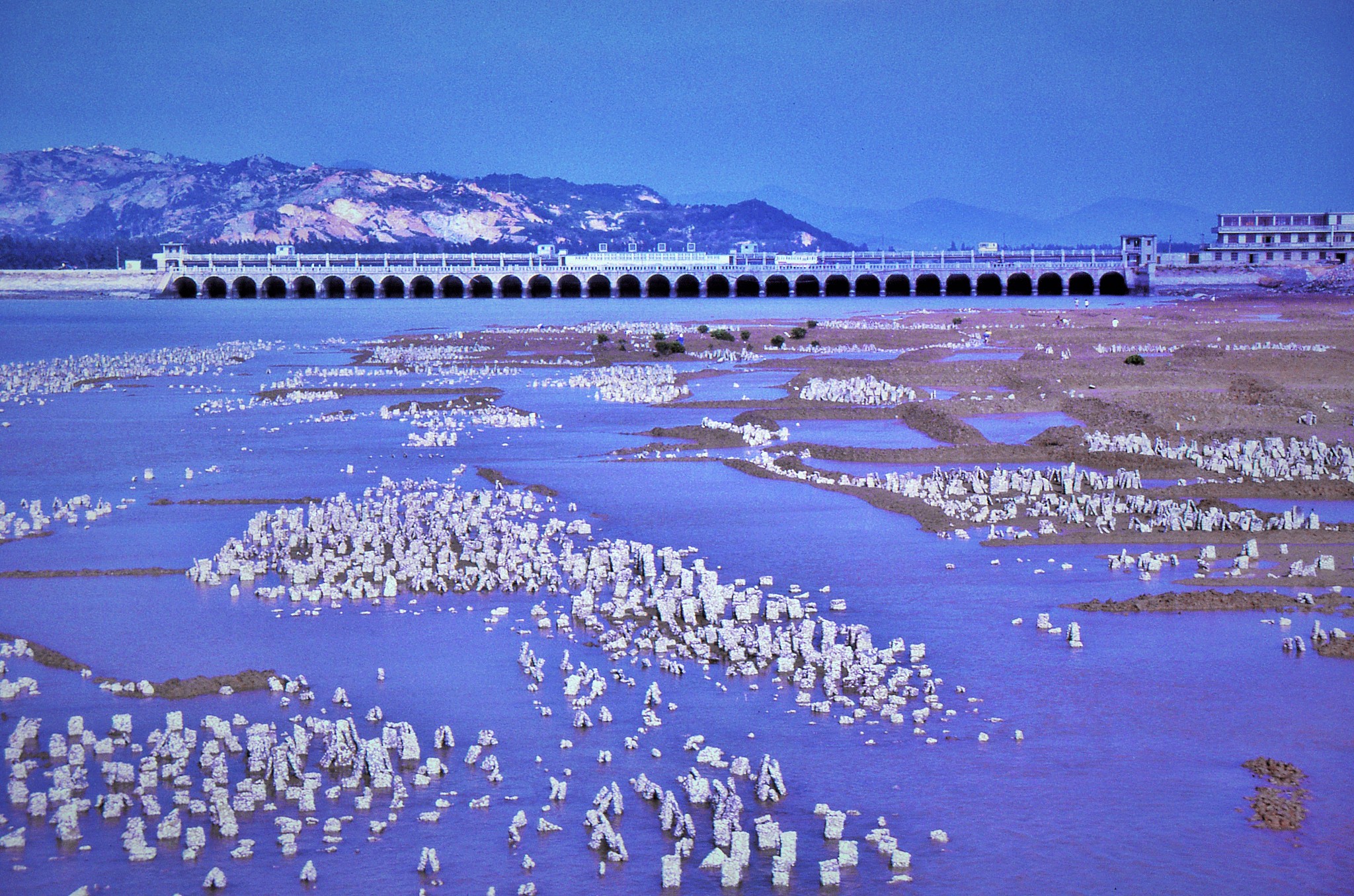 quanzhou, loyang bridge