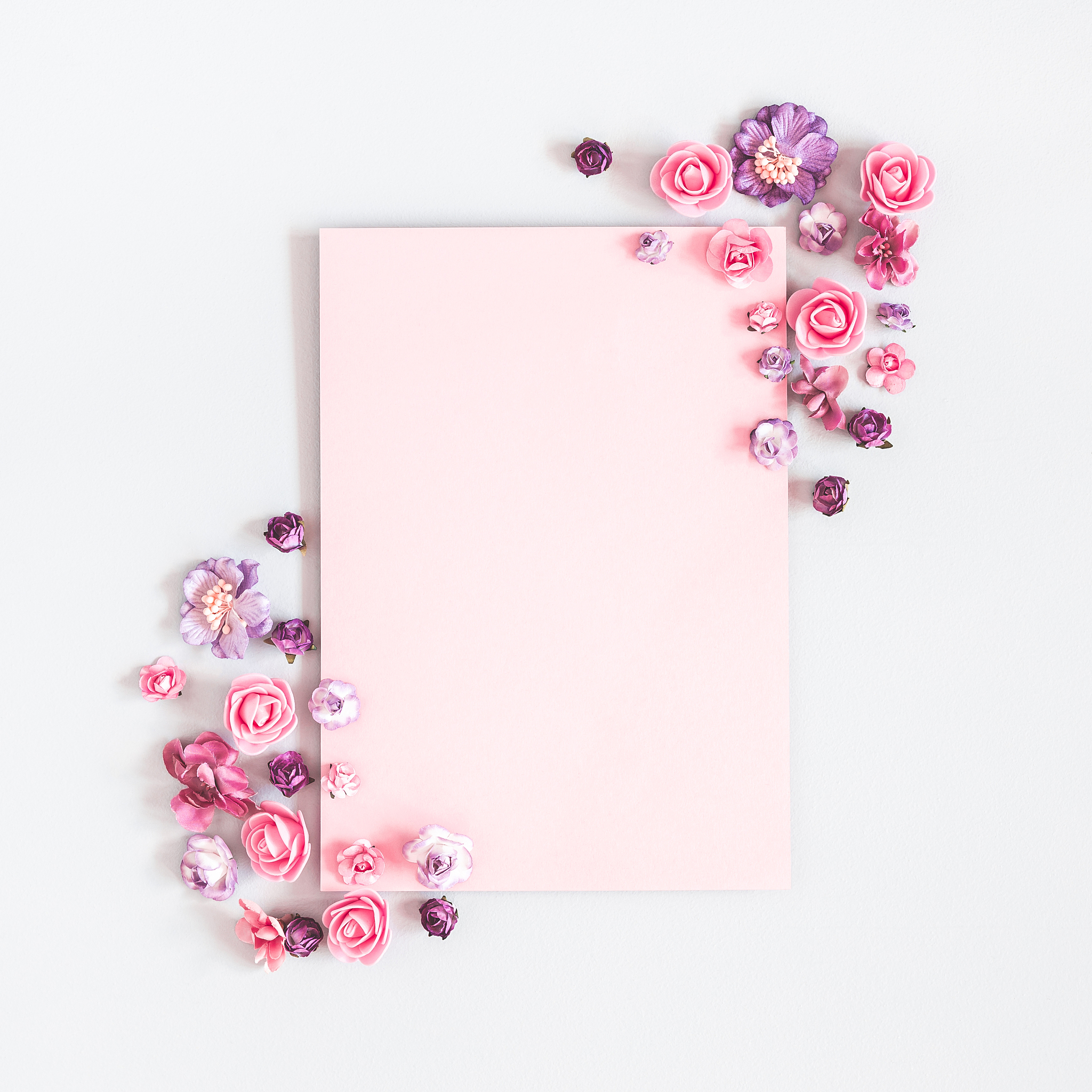 paper blank, purple and pink flowers on pastel gray background. 