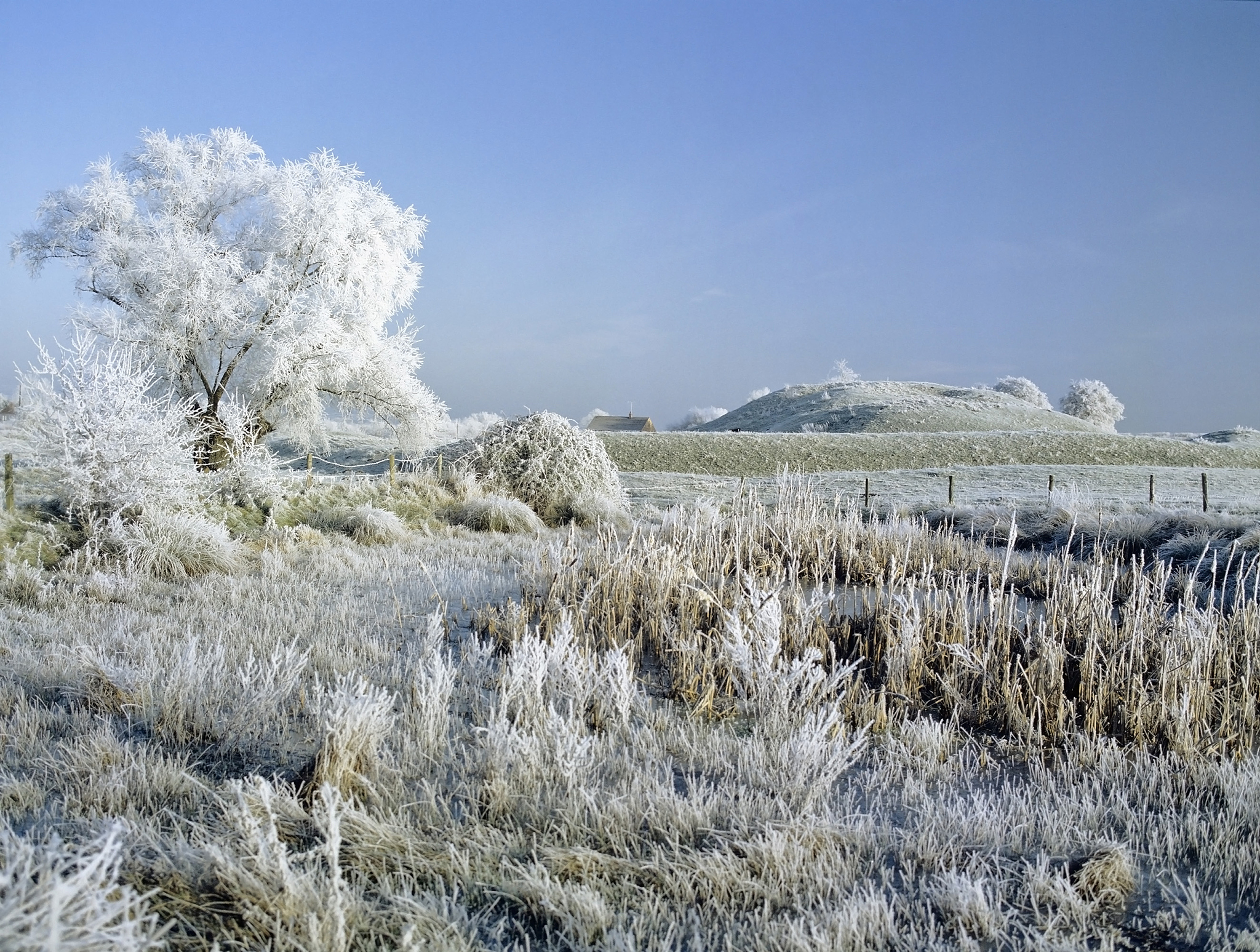 This study has for the first time analysed in detail the risk occurrences of the last spring frost first fall frost and the length of the frost-free period during the growingseason of vegetable crops