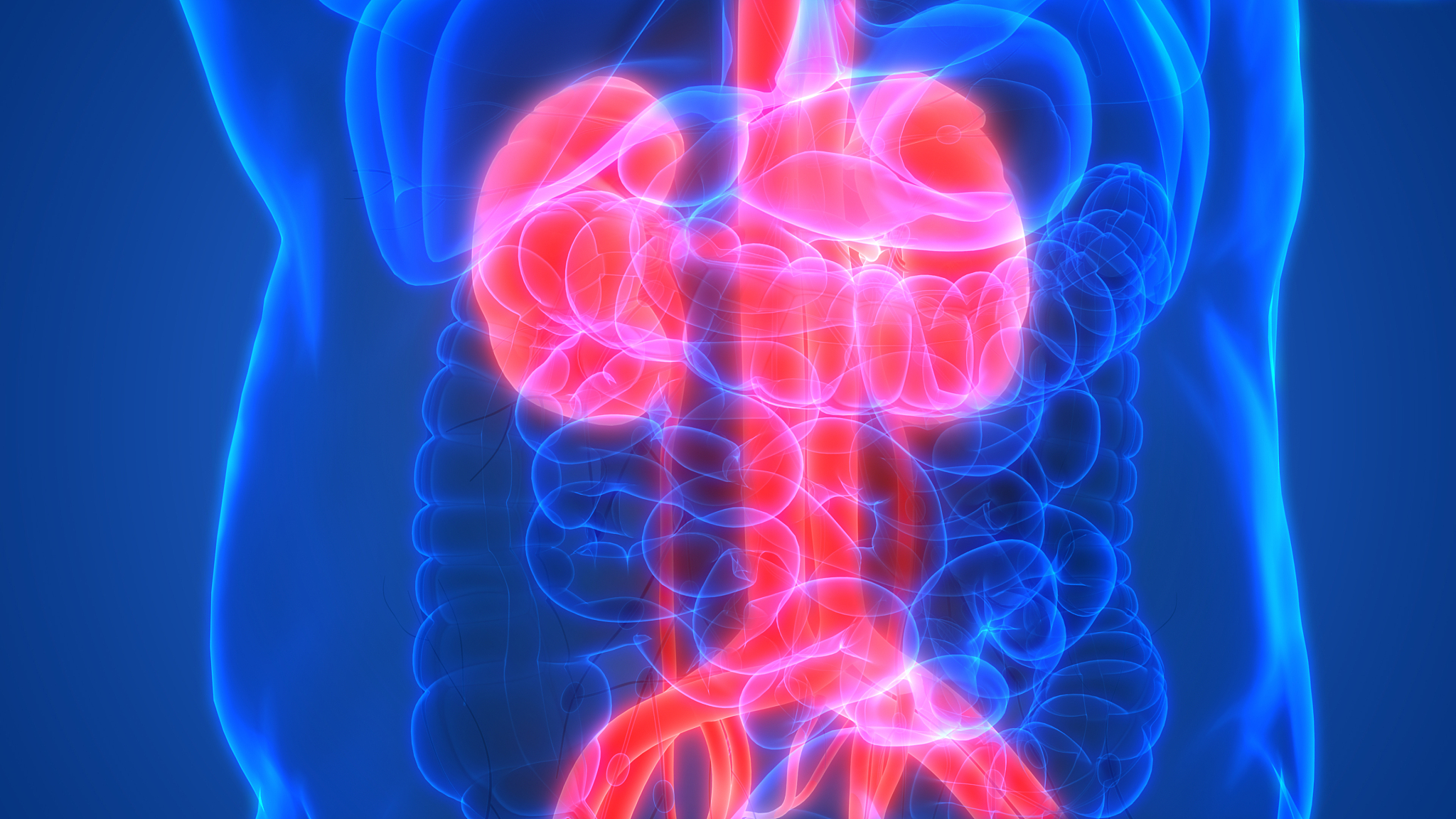 猫应激引起的下泌尿道综合征诊断和治疗的重要性猫应激引起的下泌尿道综合征FLUTD是一种常见的猫病可以导致猫出现尿频、尿急、尿痛等症状甚至出现尿潴留等严重情况。FLUTD的病因复杂可能与猫的生活环境、饮食、性格等多方面因素有关其中应激是一个重要的因素。诊断FLUTD需要仔细的病史询问和体格检查同时还需要进行尿液分析、尿培养、X线和超声等检查以确定病因和病情严重程度。治疗FLUTD需要综合考虑病因和病