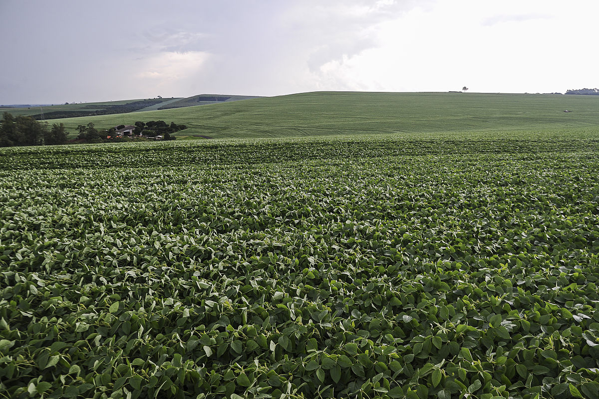 大豆通风速率标准：如何保障储藏安全？