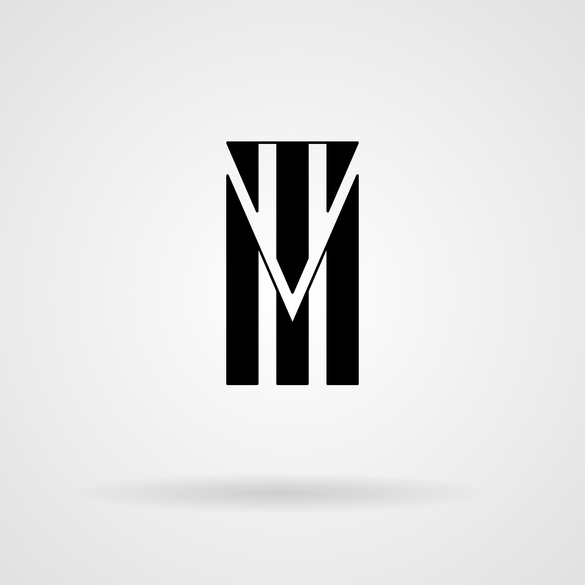 calligraphic monogram letters in the