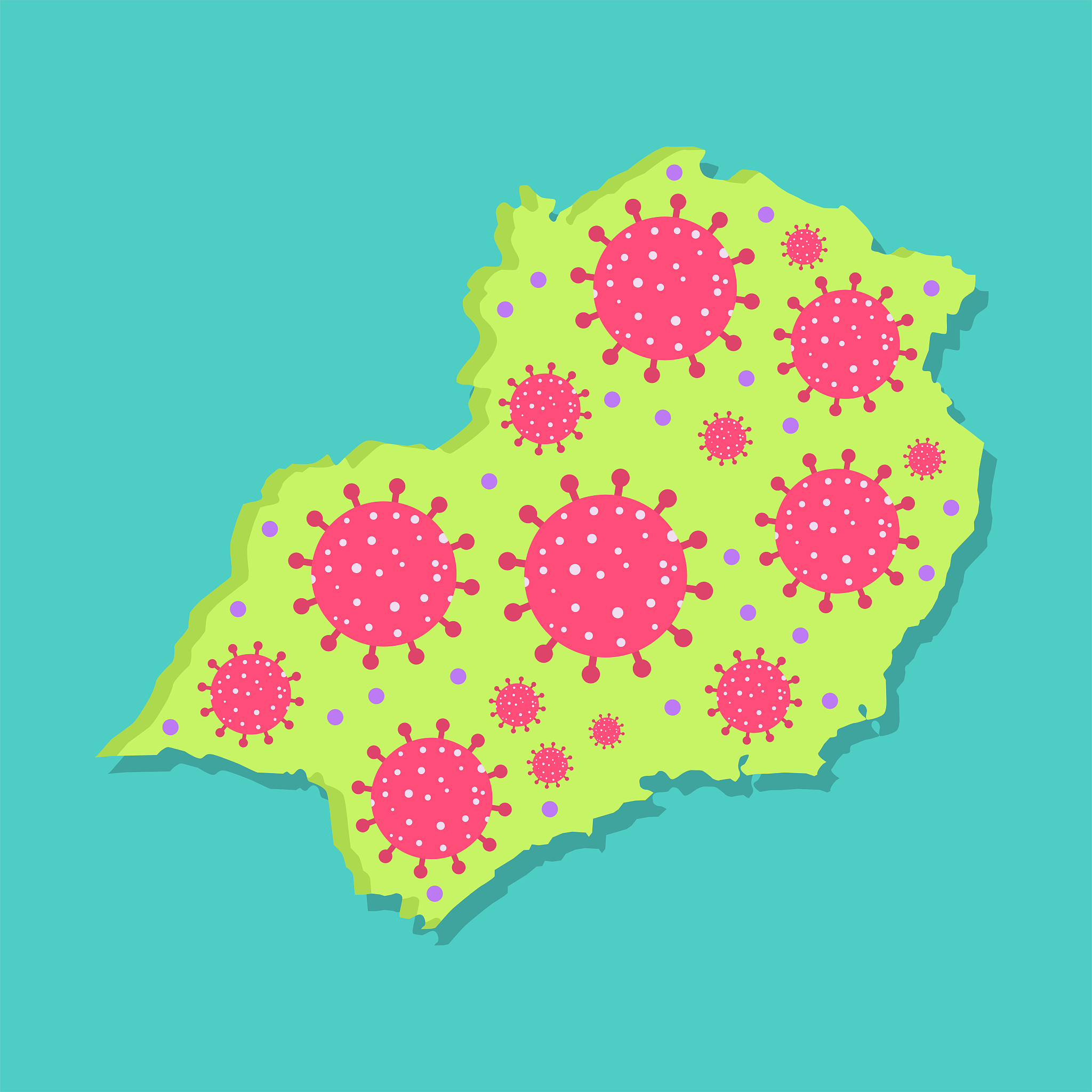 viral epidemic in southeast of brazil